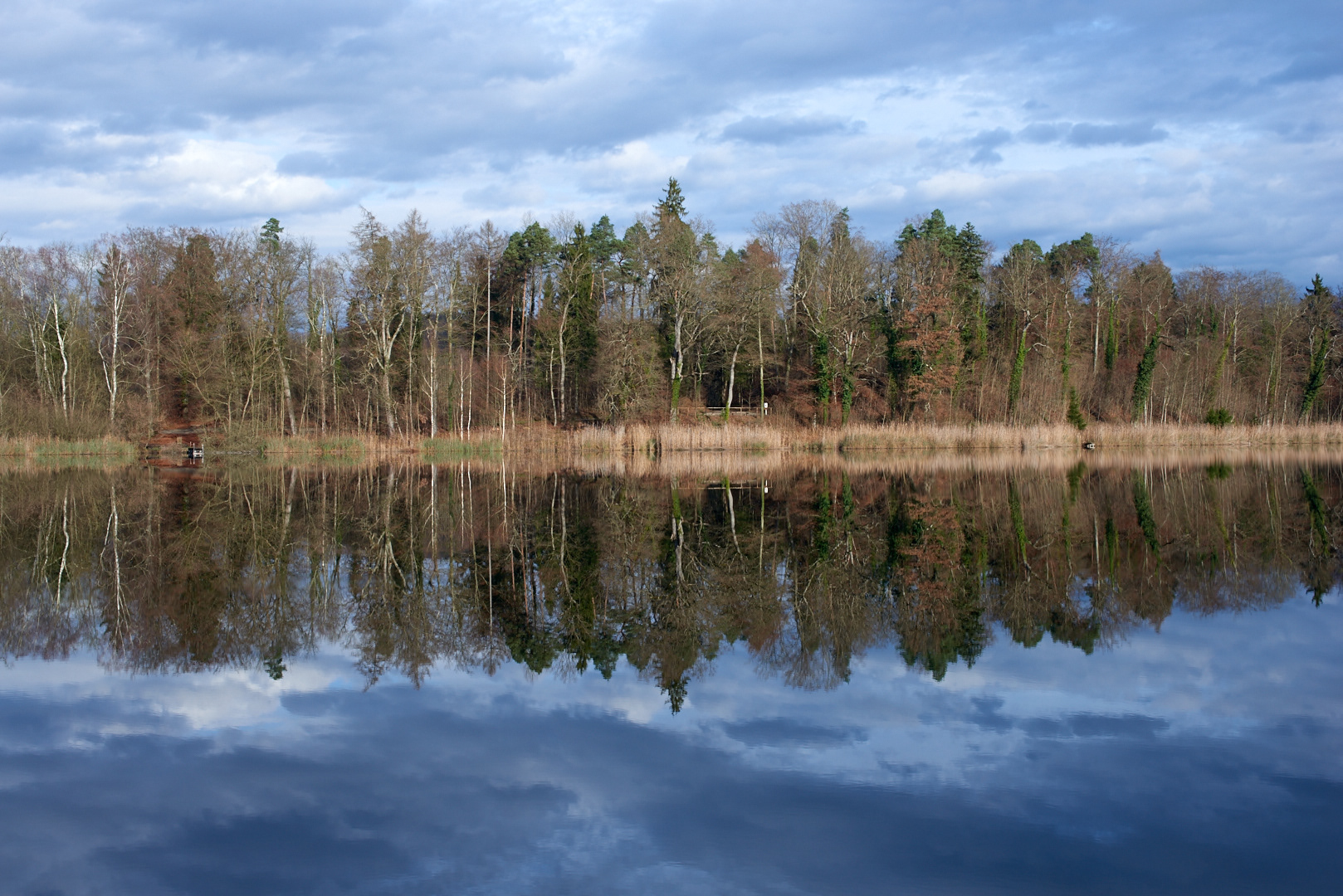 Schweiz, Weinland 2019 (Husemersee)