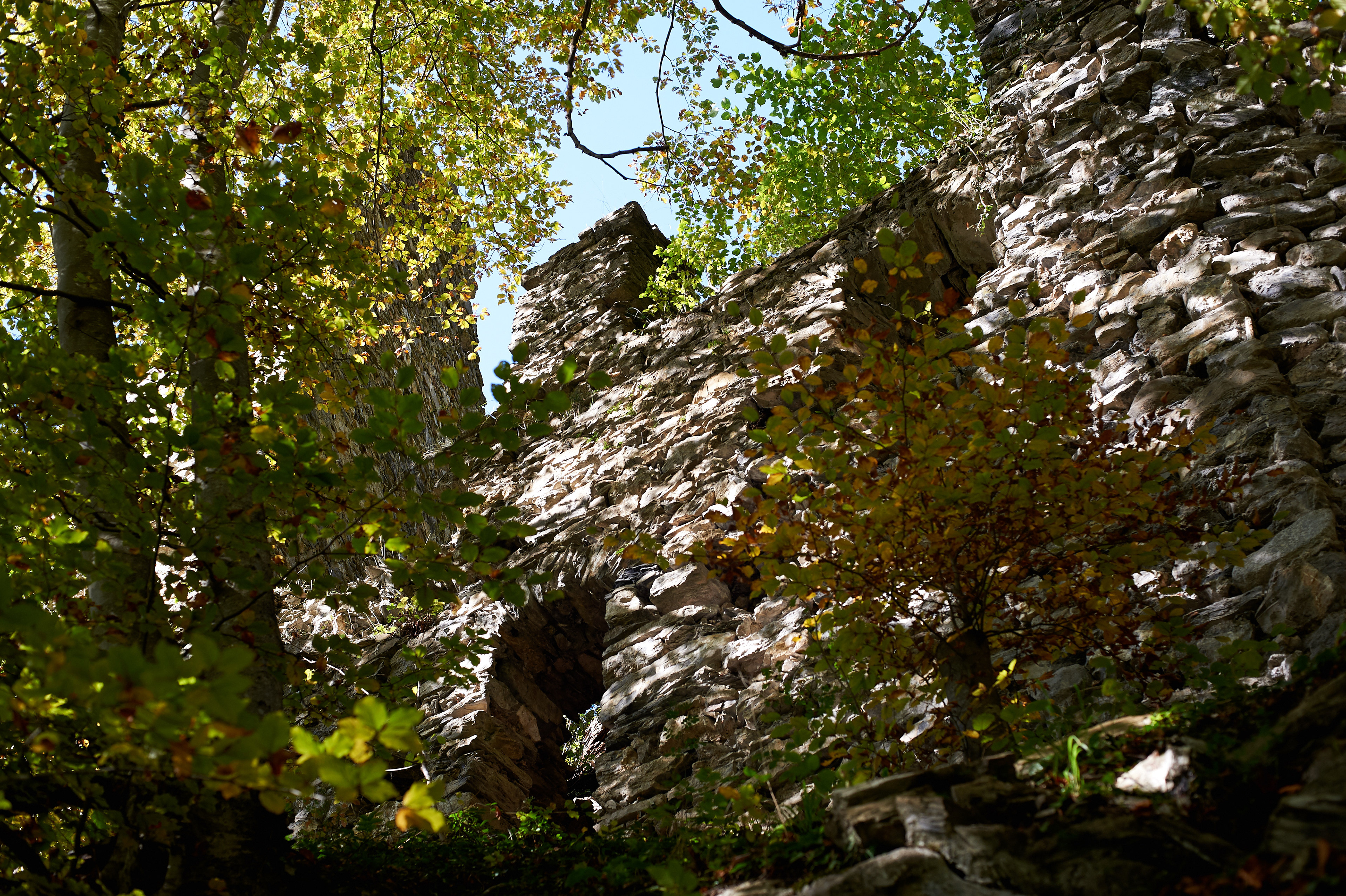 Wynedd
