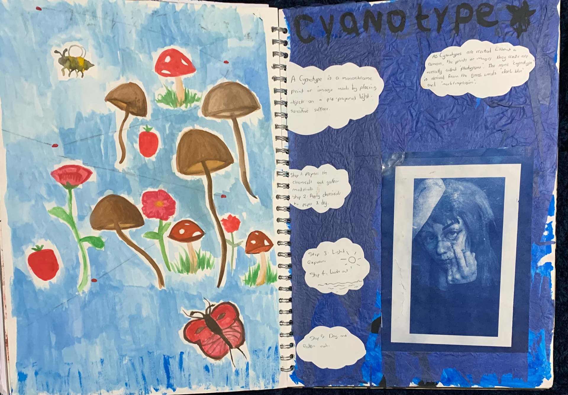 Cyanotype pages