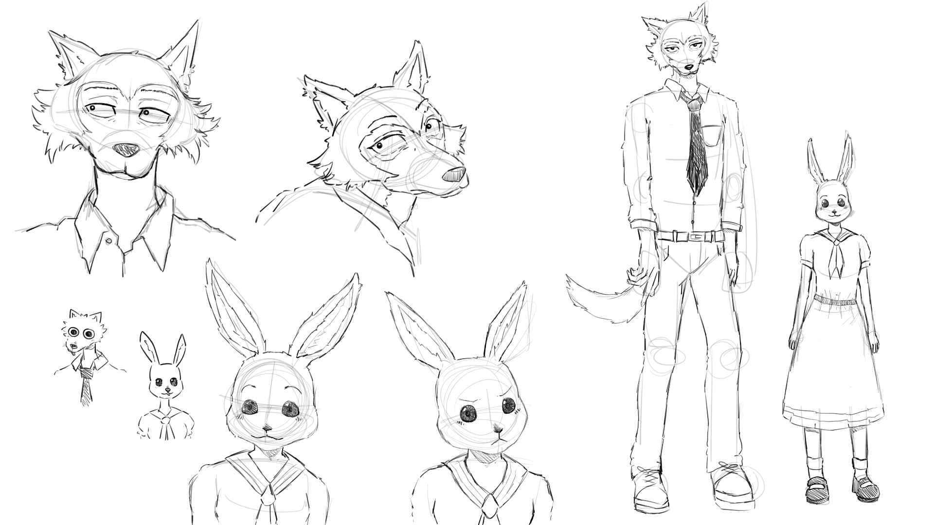Studies from animated show 'Beastars' - 2025