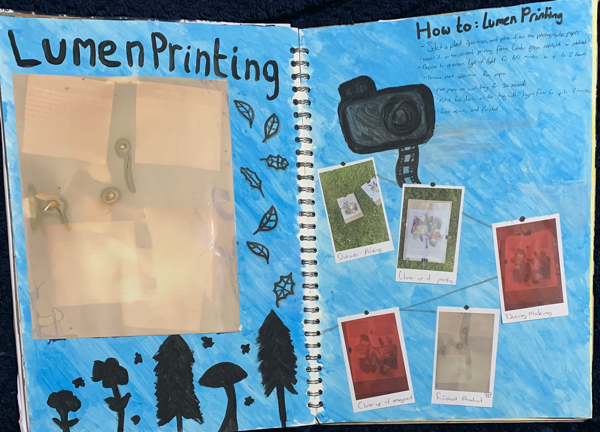 Lumen print pages