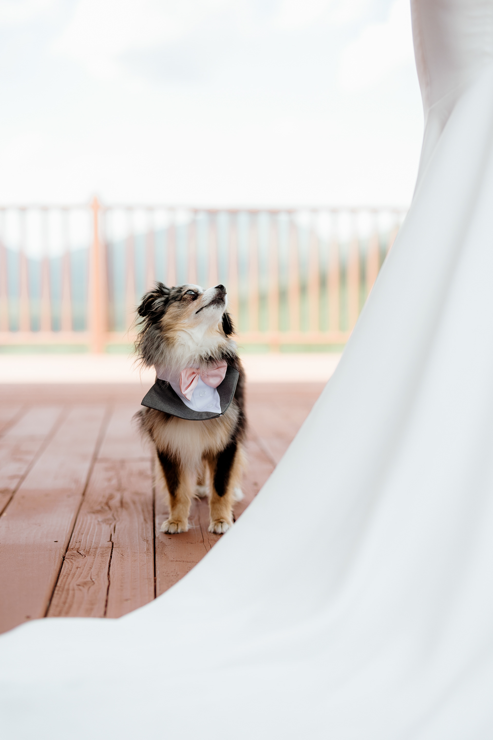 “I’m a nerd at heart, and I love working with techy, creative, game-loving couples who want photos that feel like them.