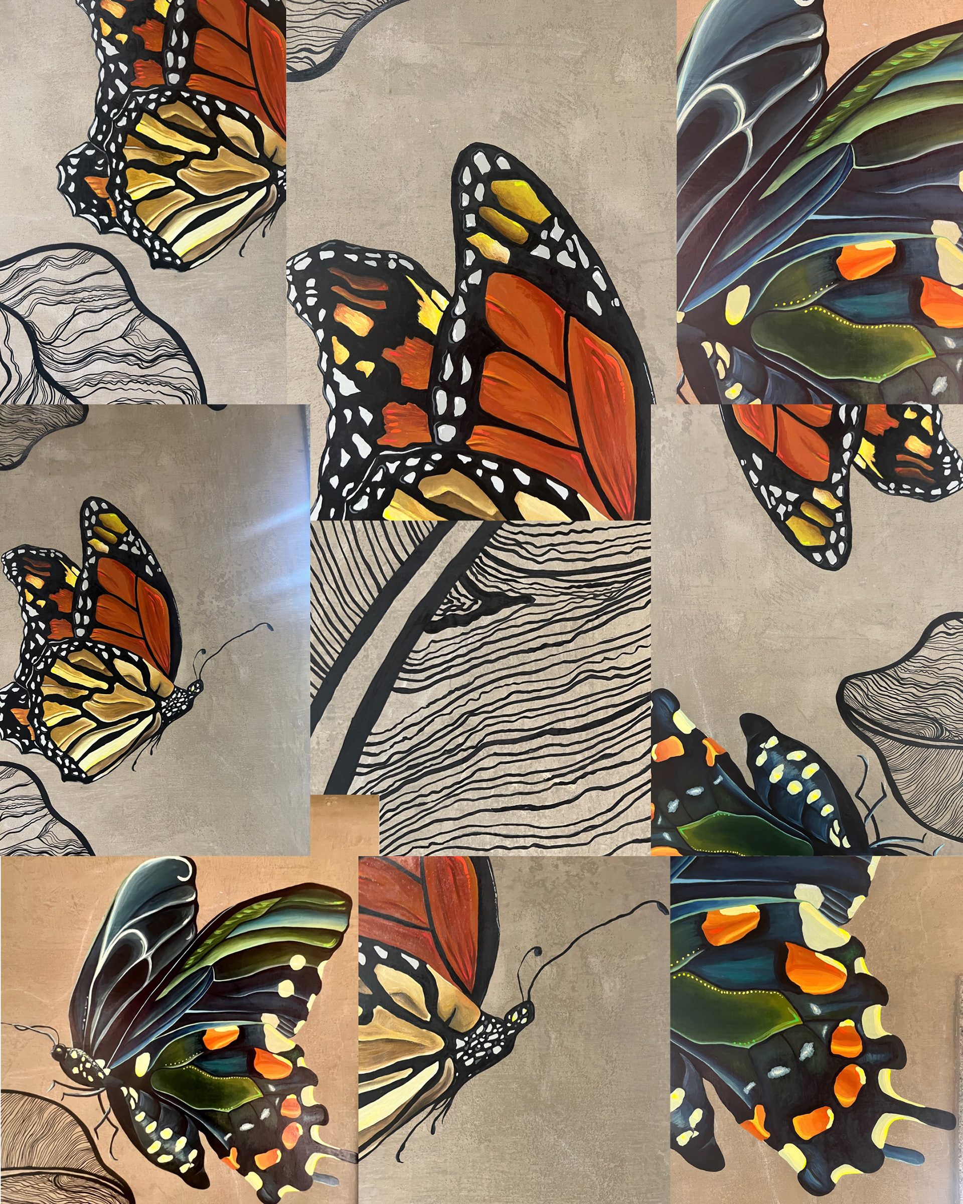 close up shots