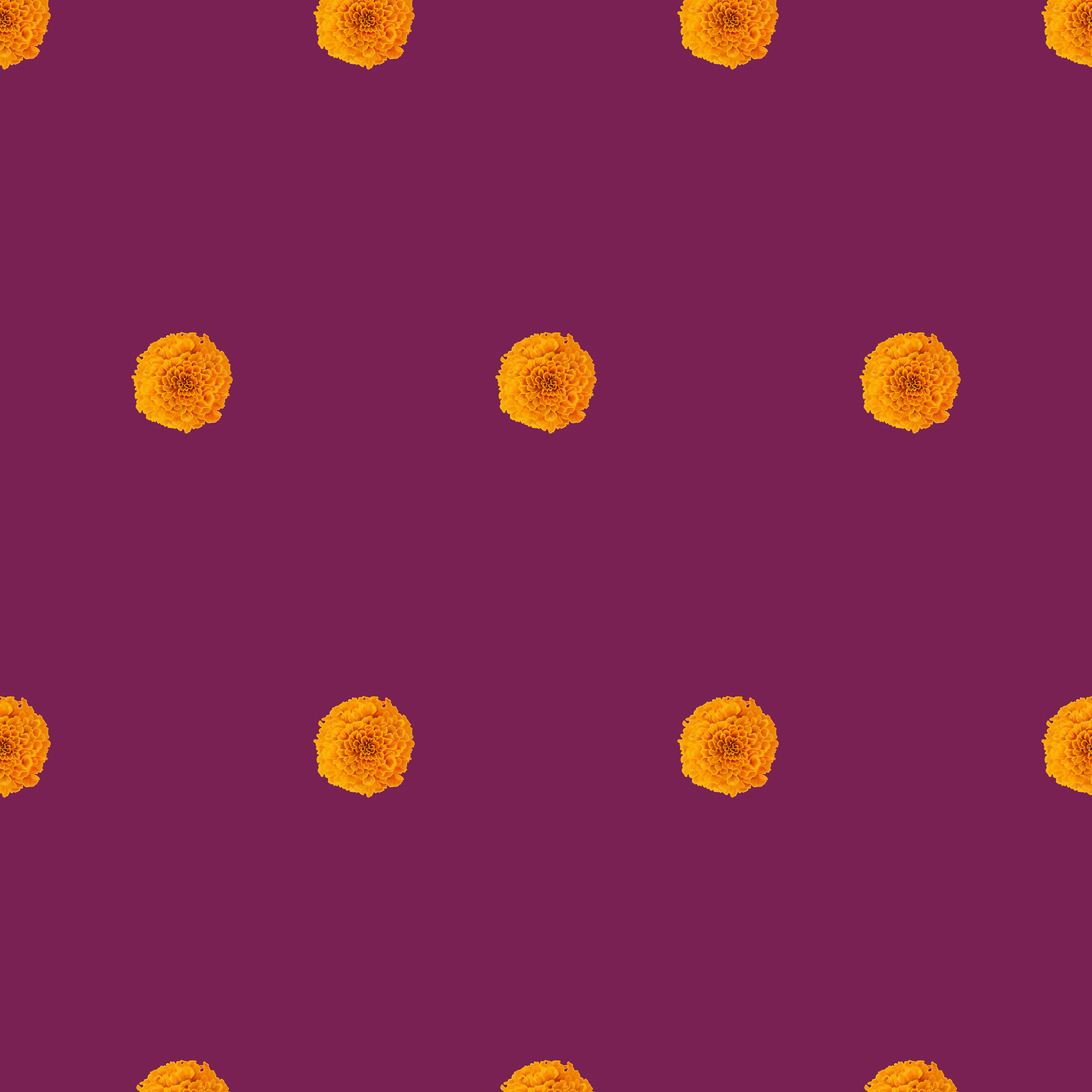 Blender Pattern