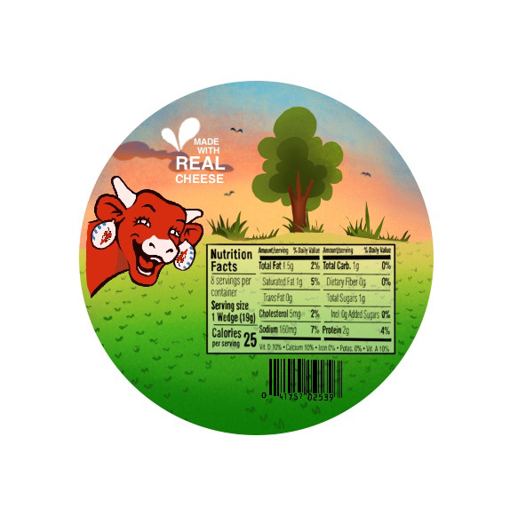 Back Packaging Illustration