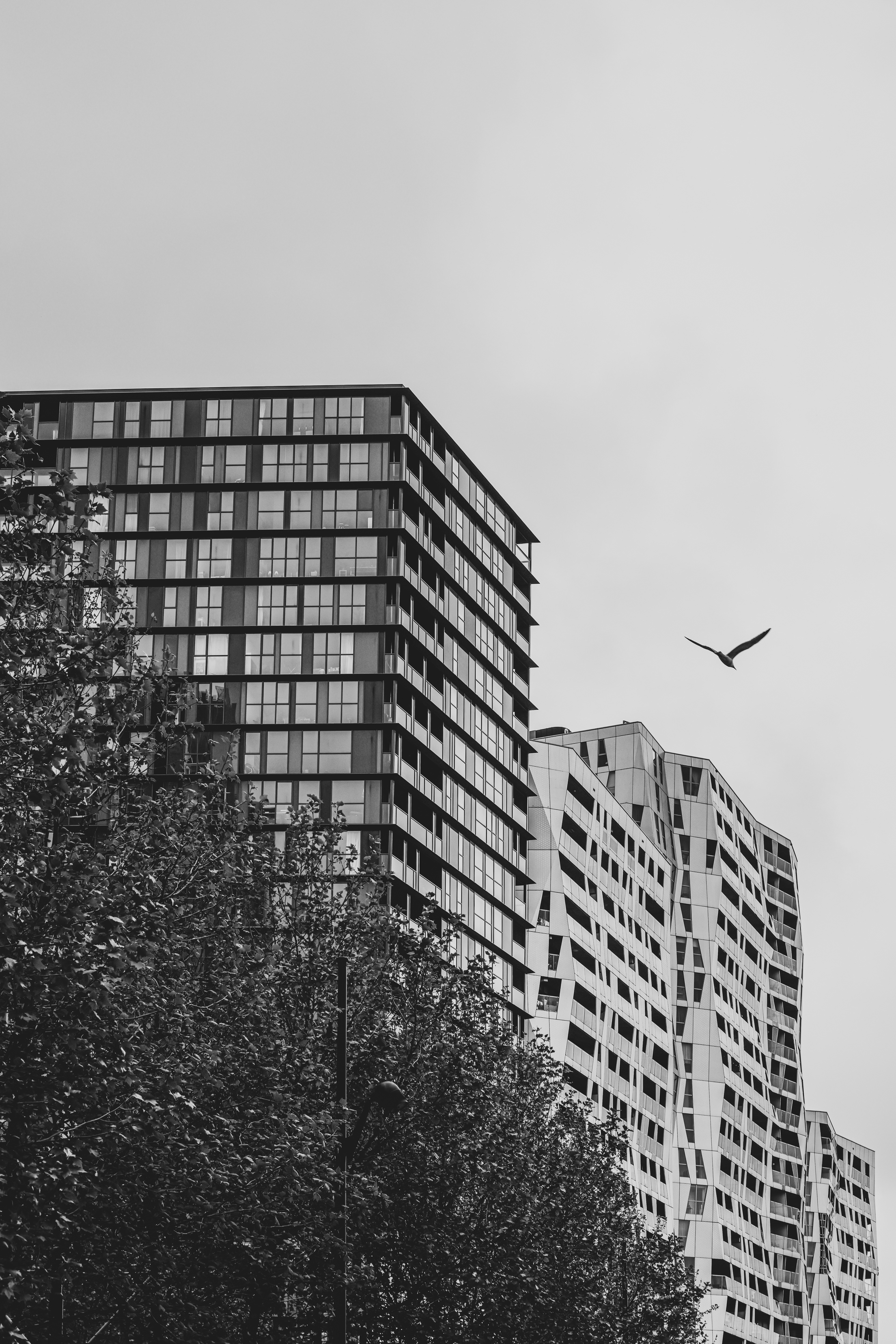 Rotterdam 2