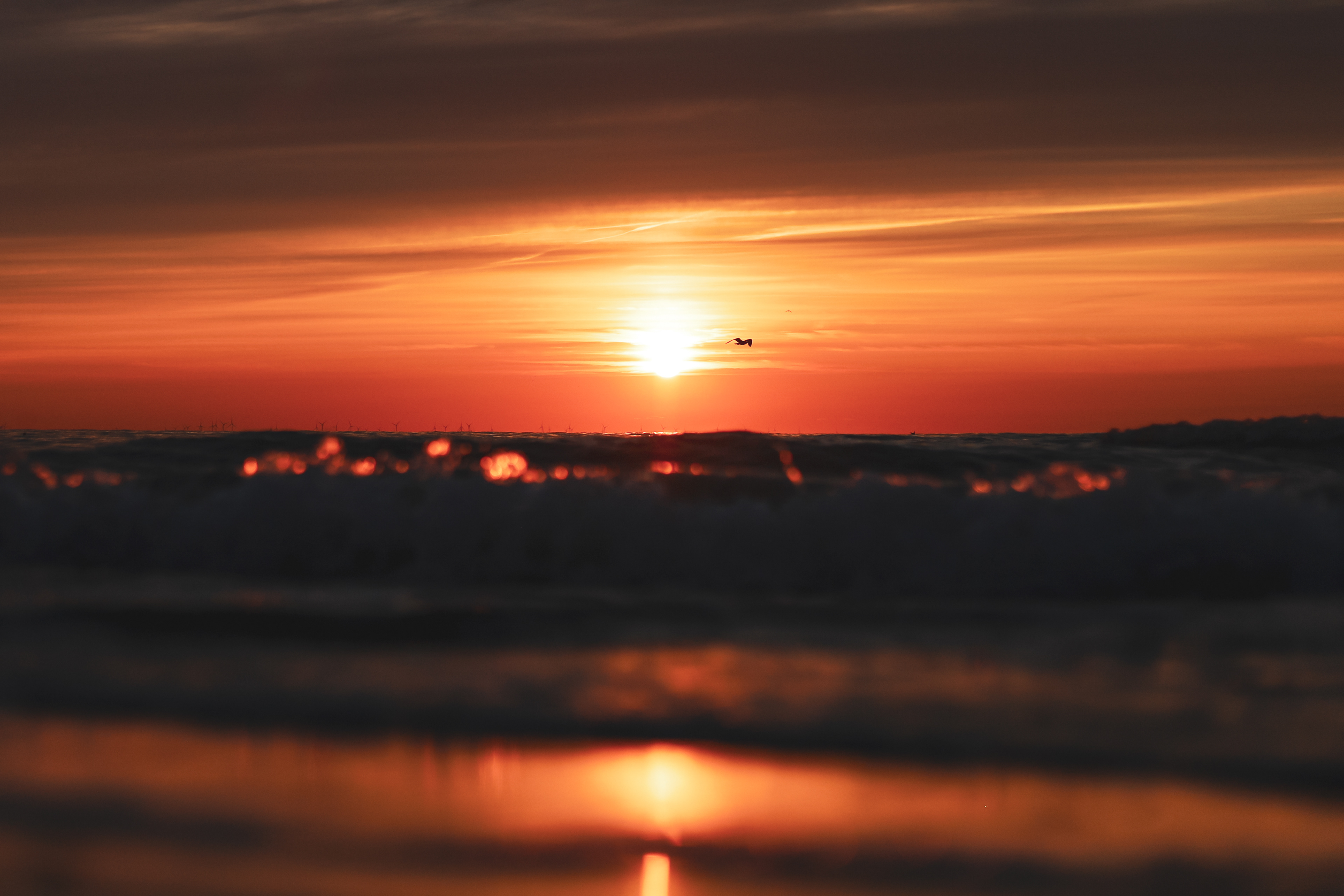Somewhere Sunset Low 2