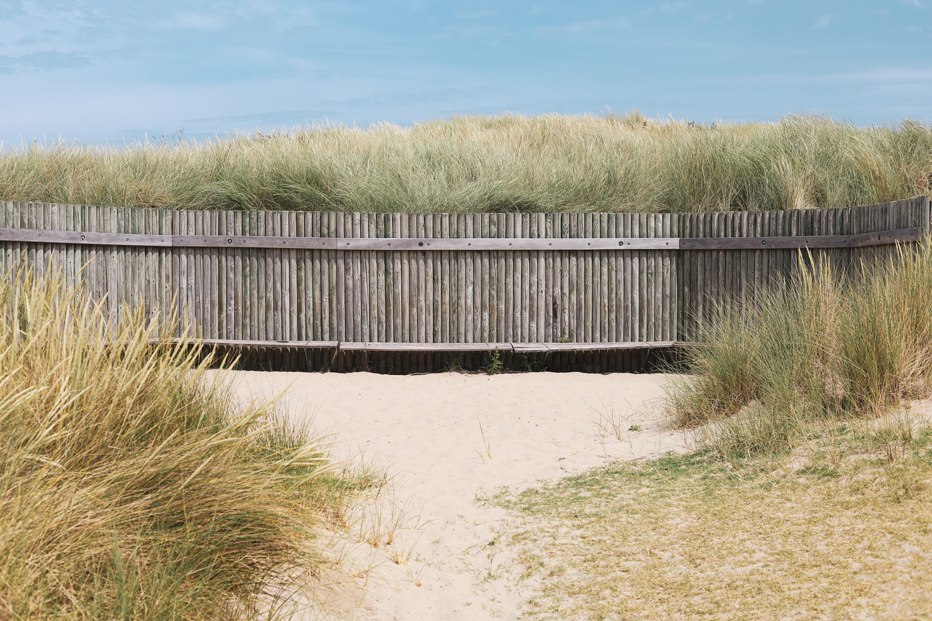 Domburg One