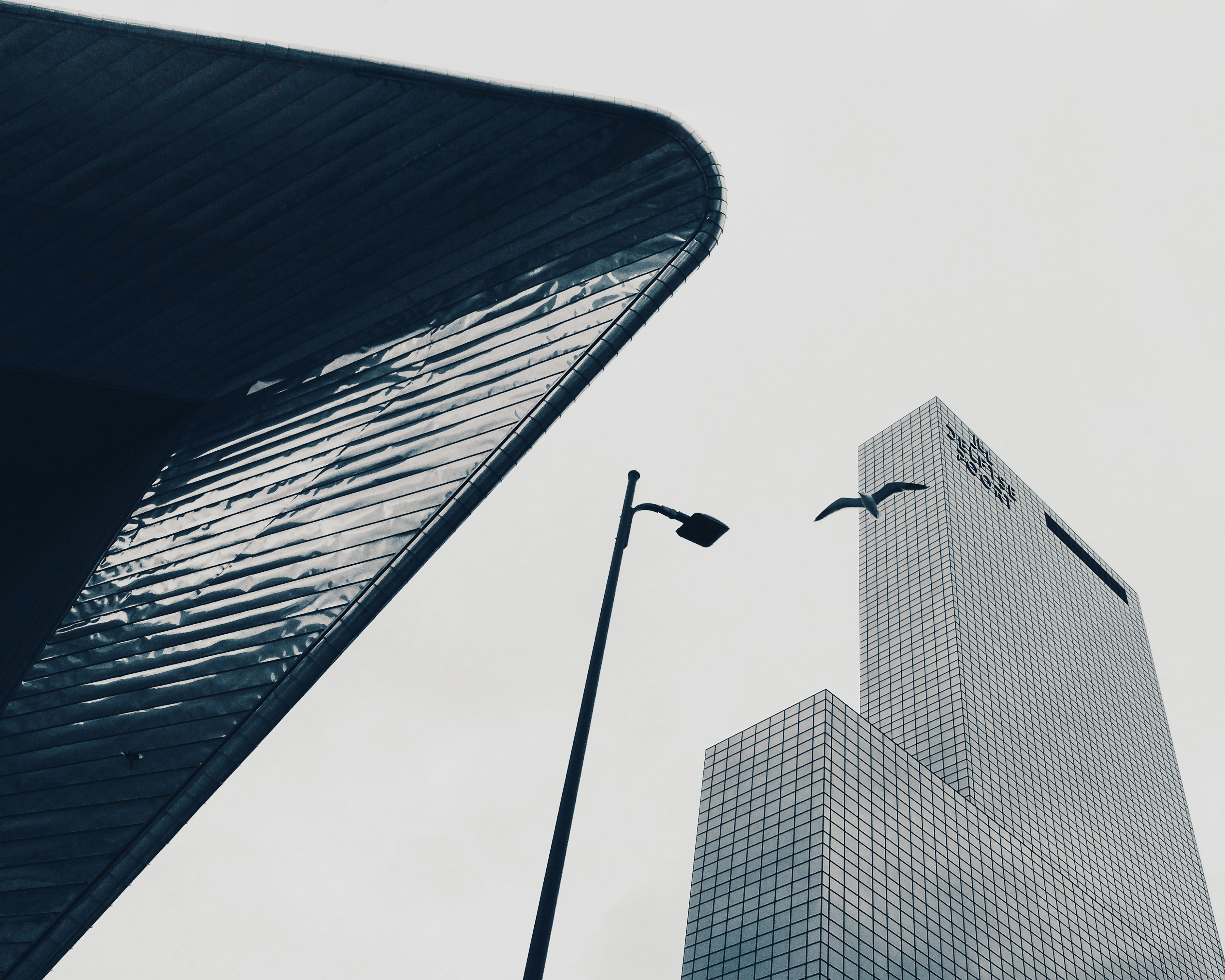 Rotterdam Architecture