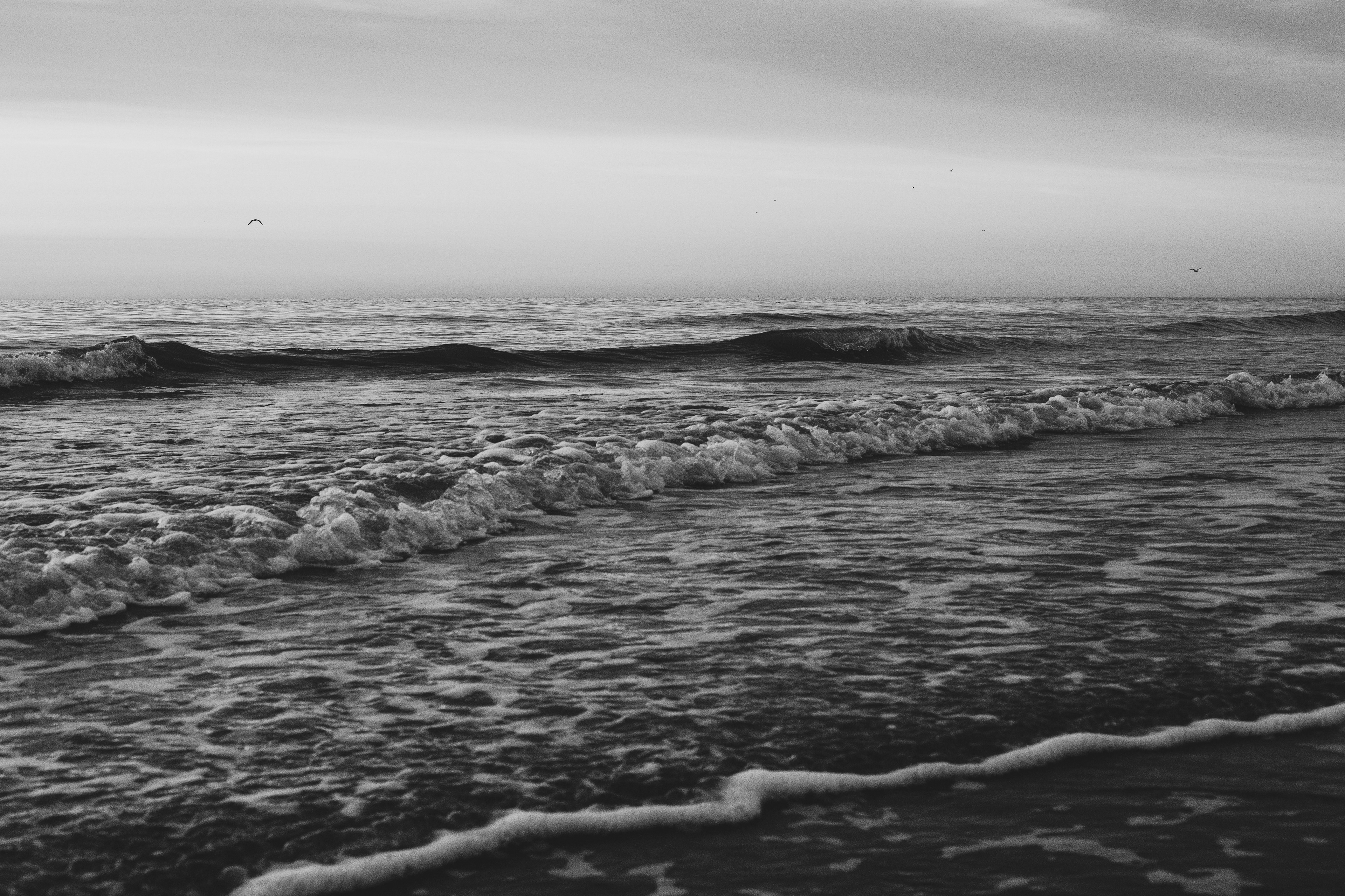 Wild Sea (2)