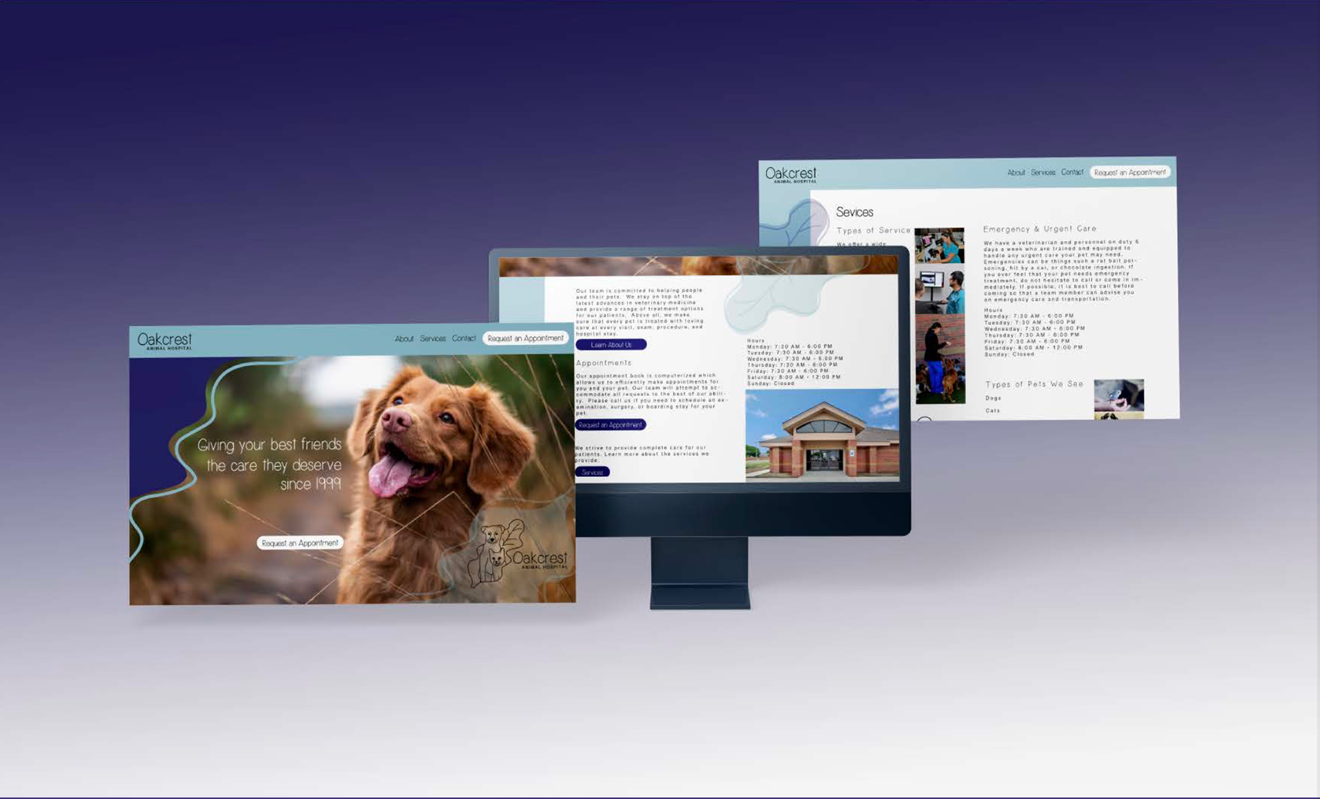 Conceptual Website