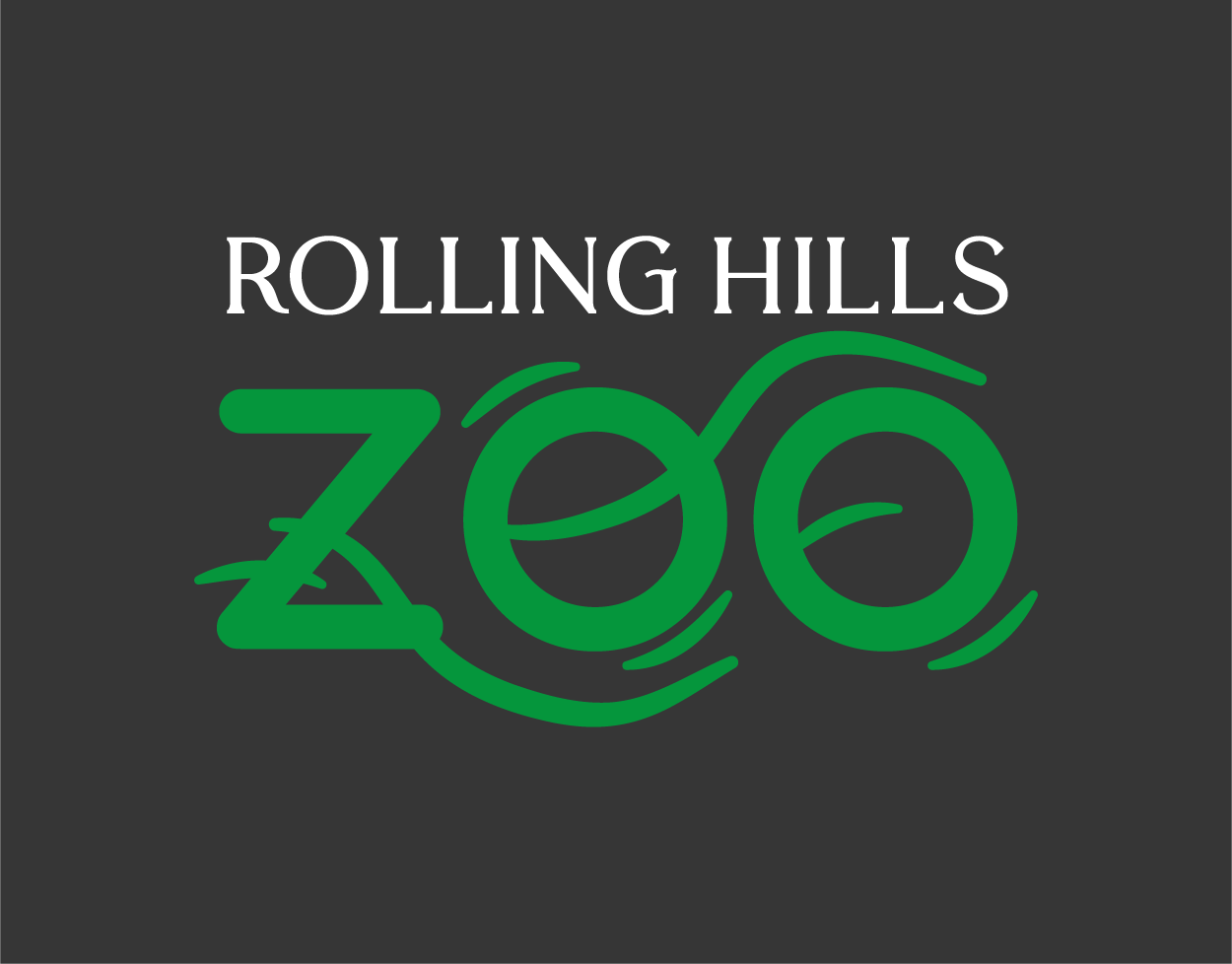 Conceptual Logo Rebrand