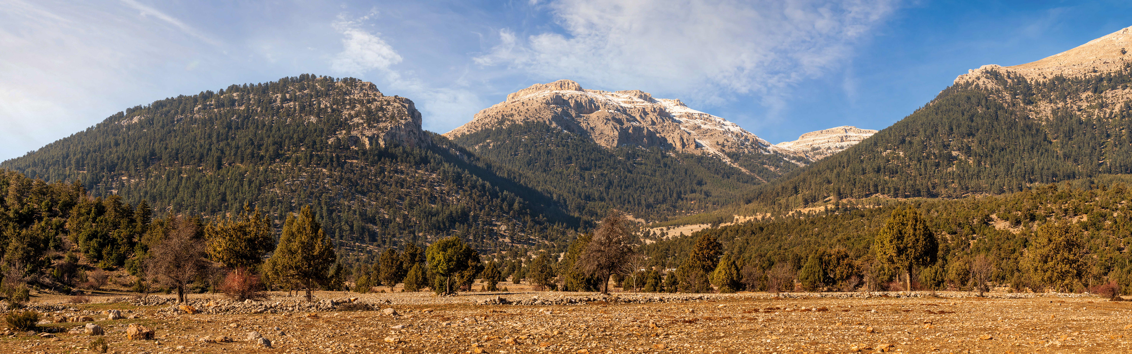 'A Pinch of Snow'
