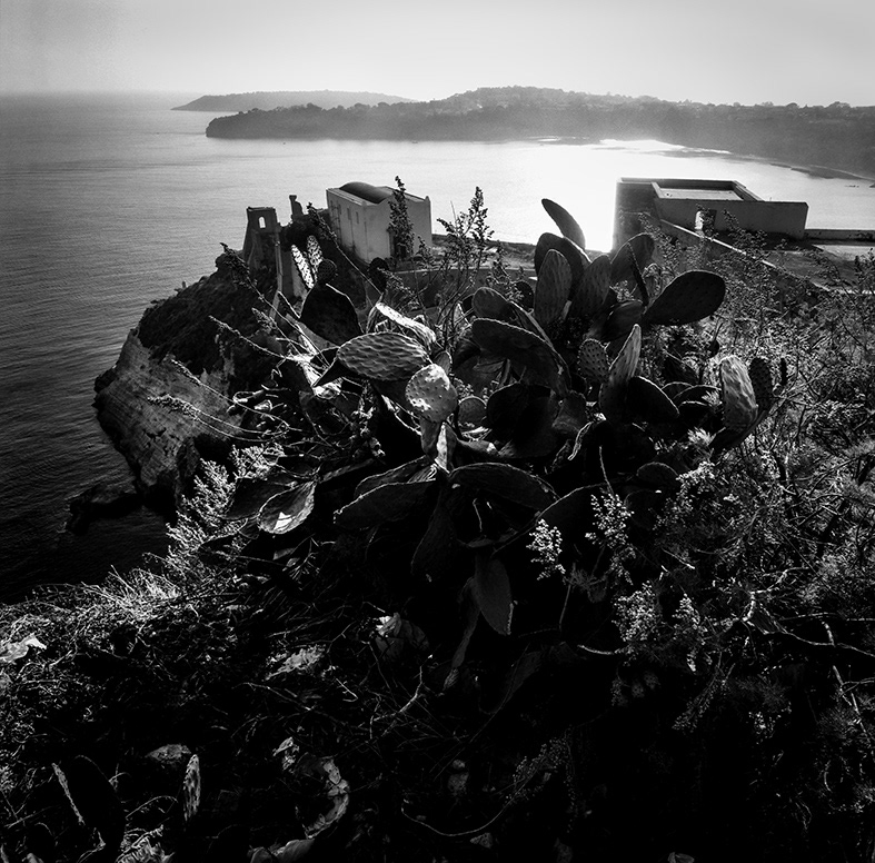 © Franco Esse, L'Isola di Arturo