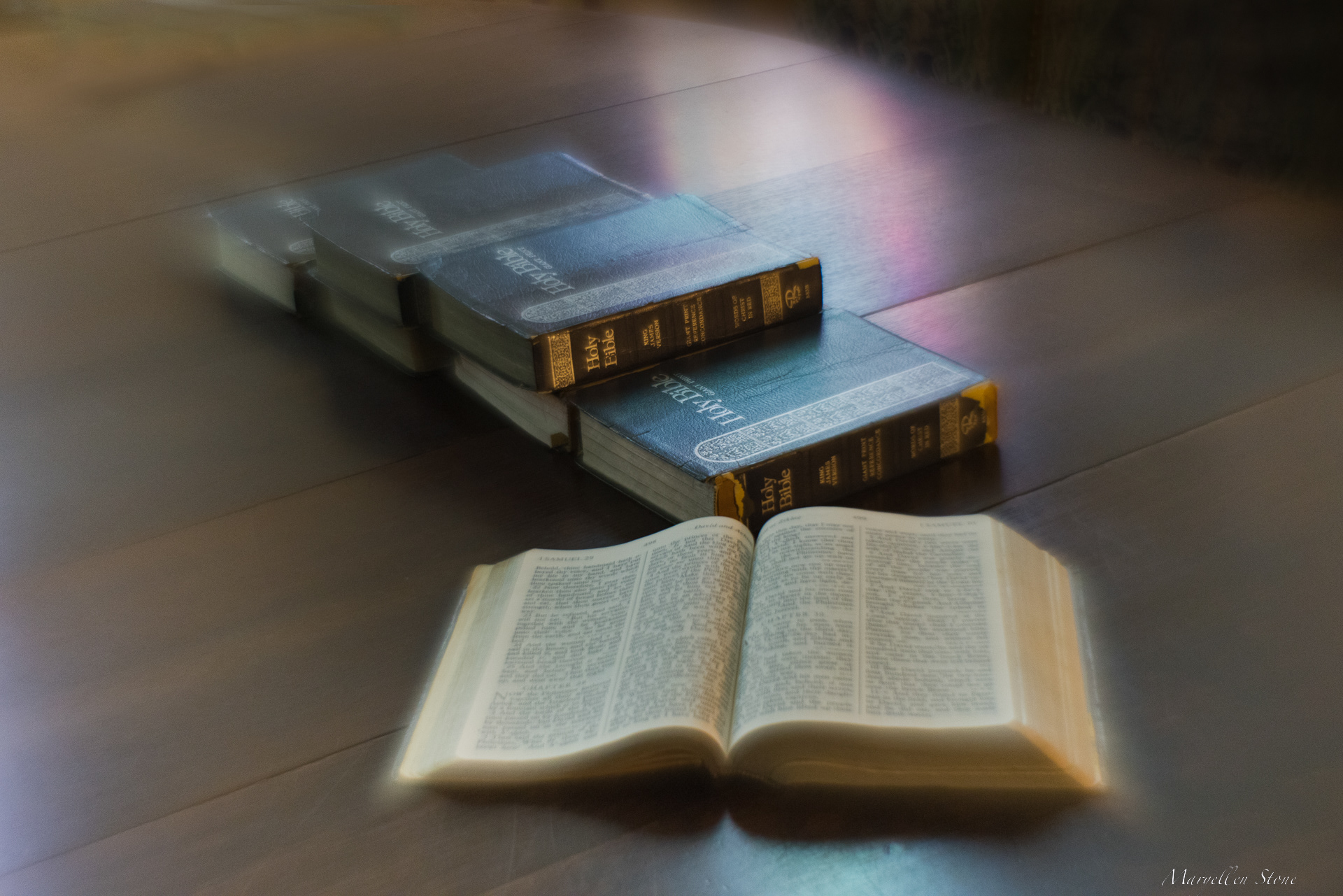 Divine Light ~ A wonderful memory of a workshop in Florida. Birds, flowers, beaches and places of worship, so inspiring and so much fun.