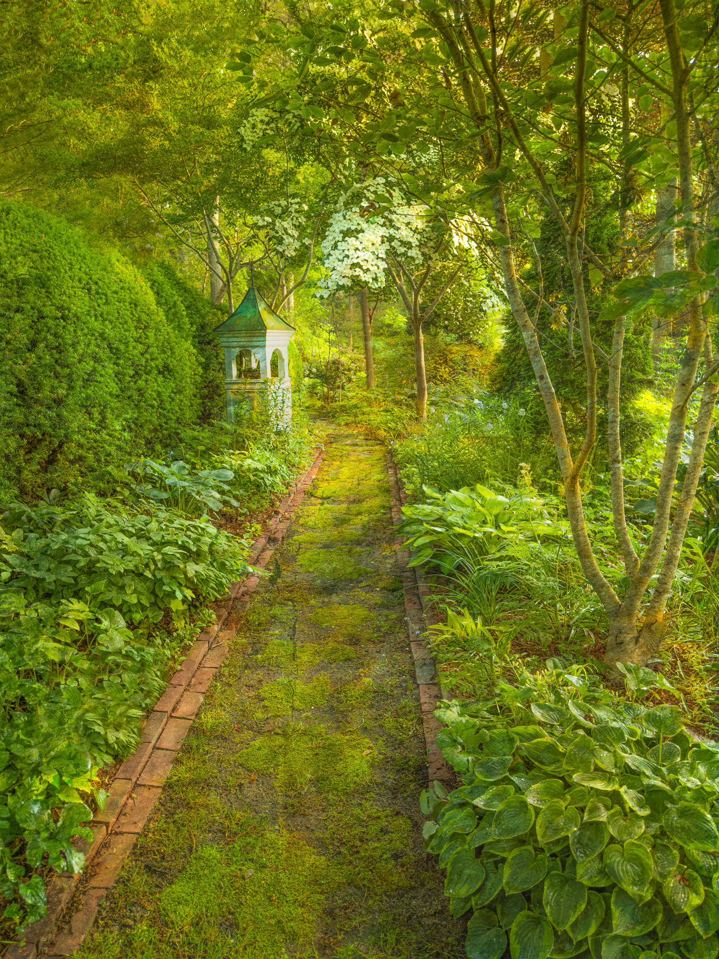 Lush Serenity ~ 3rd place photography