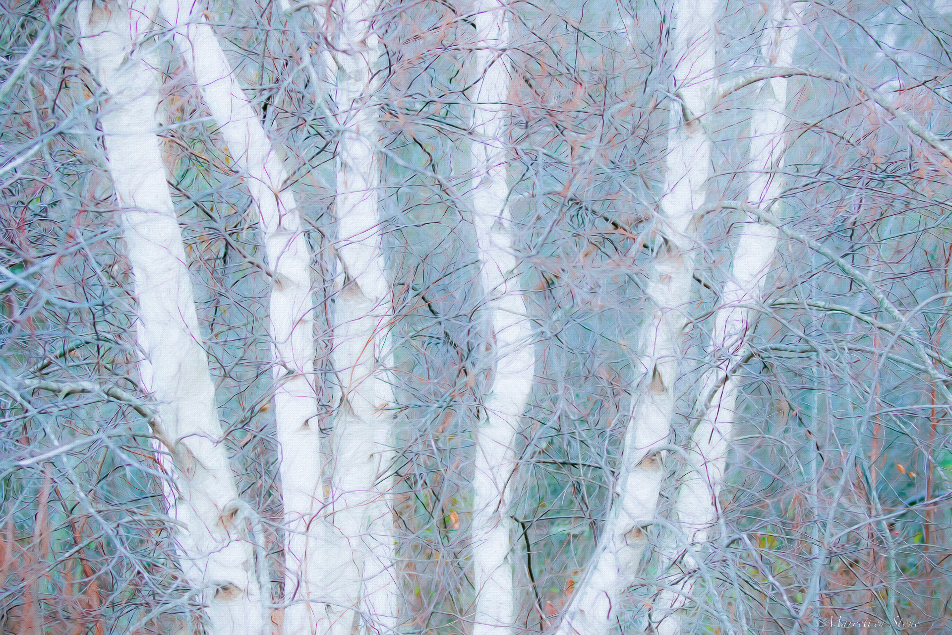 Blue Birches Fantasy Moving into more abstract and fantasy images this year.
