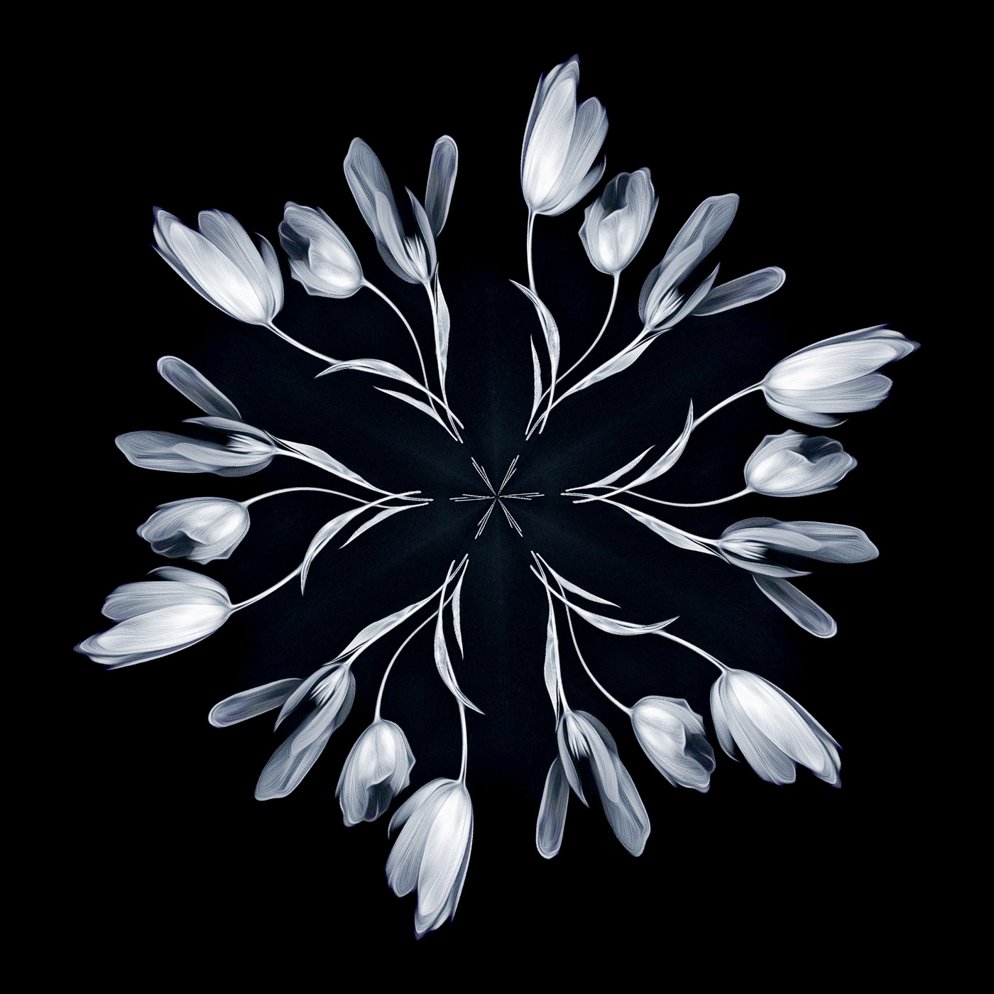 Trio Parties On ~ Creative imagery of the Garden Party Trio brought new life to these tulips. 