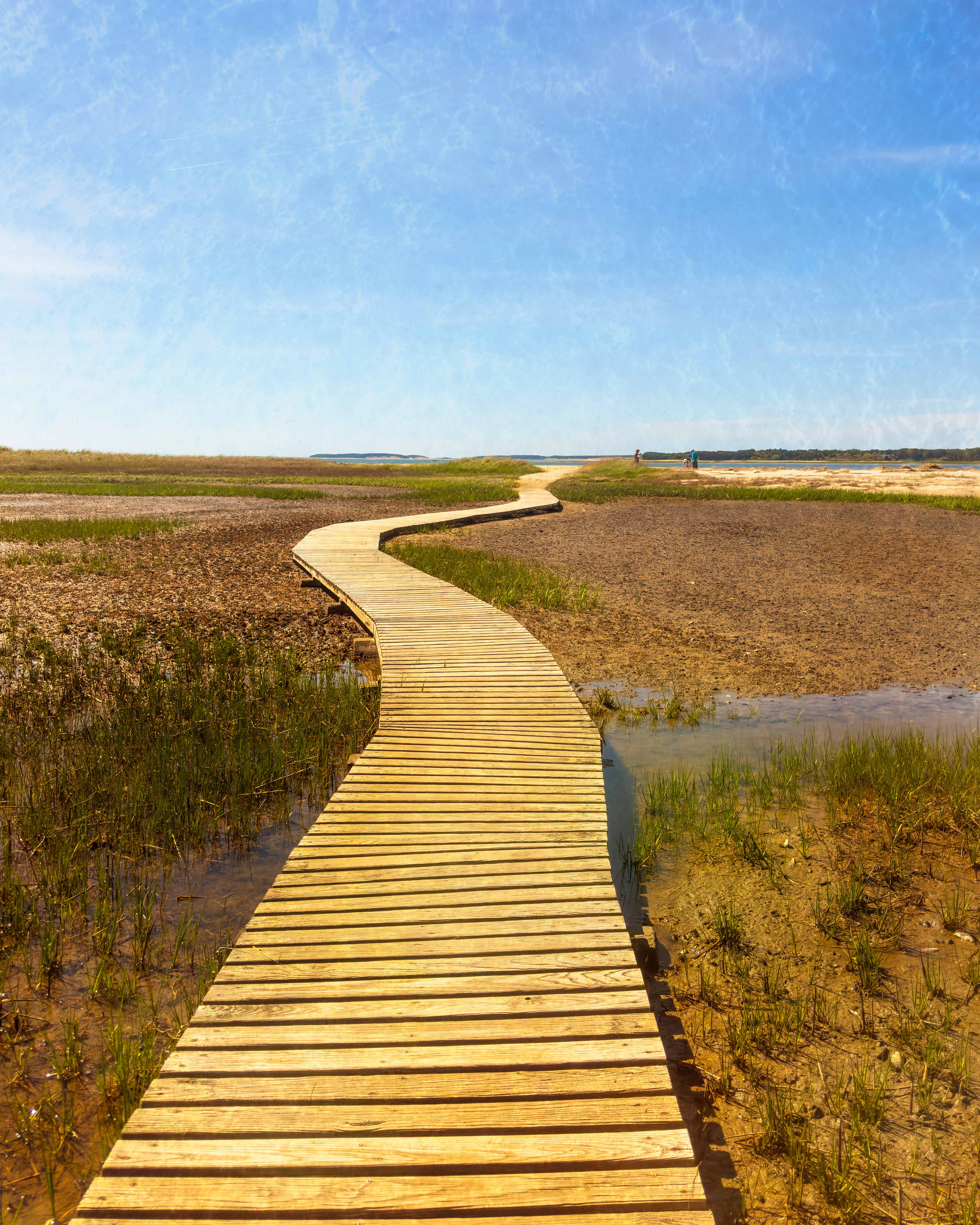 Boardwalk to the Bay