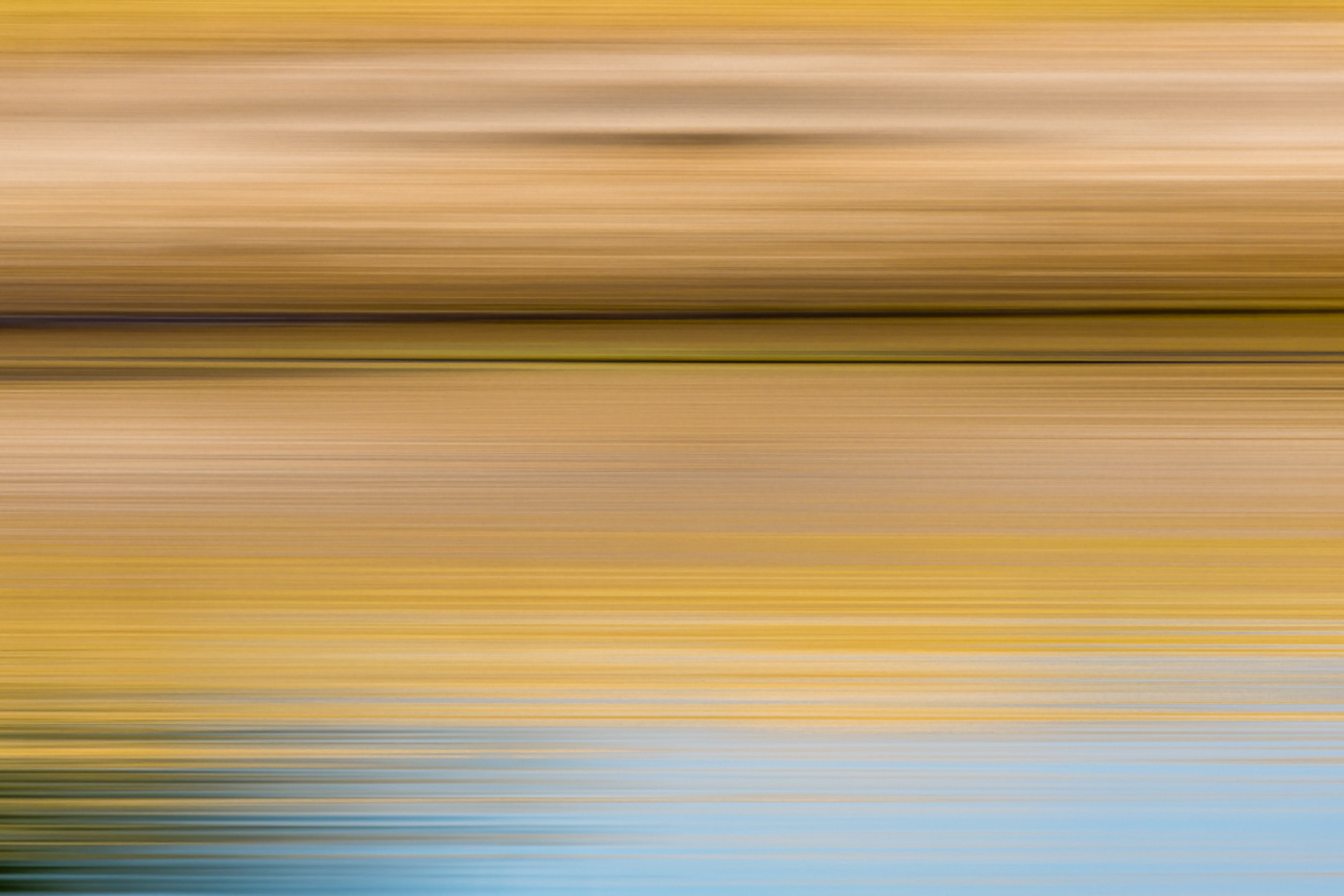 Chobe River ICM 5612