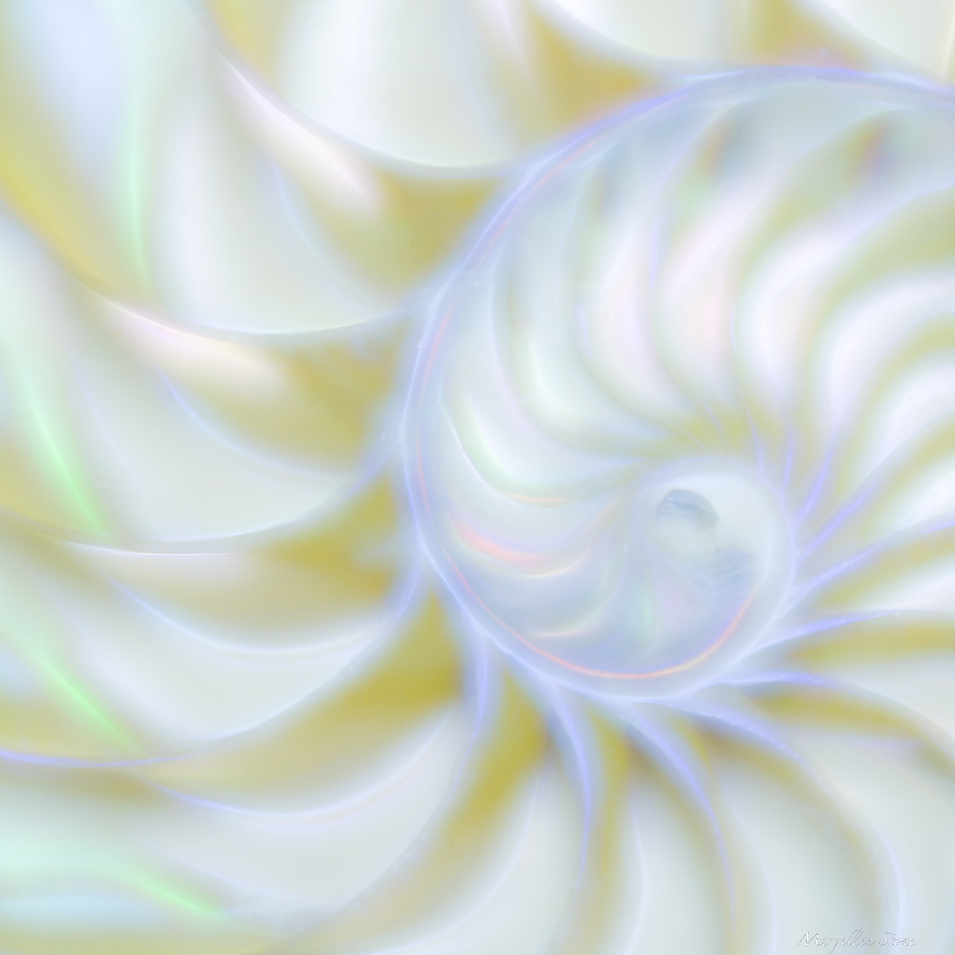 Aglow II Playing with abstracts and color.