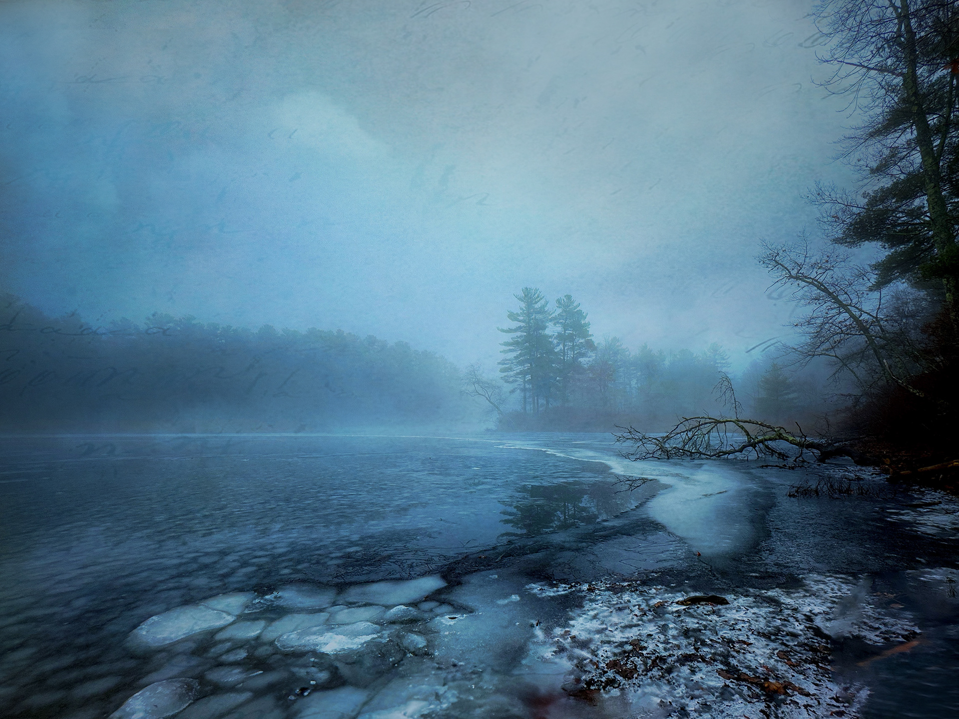 Winter On Foster's Pond