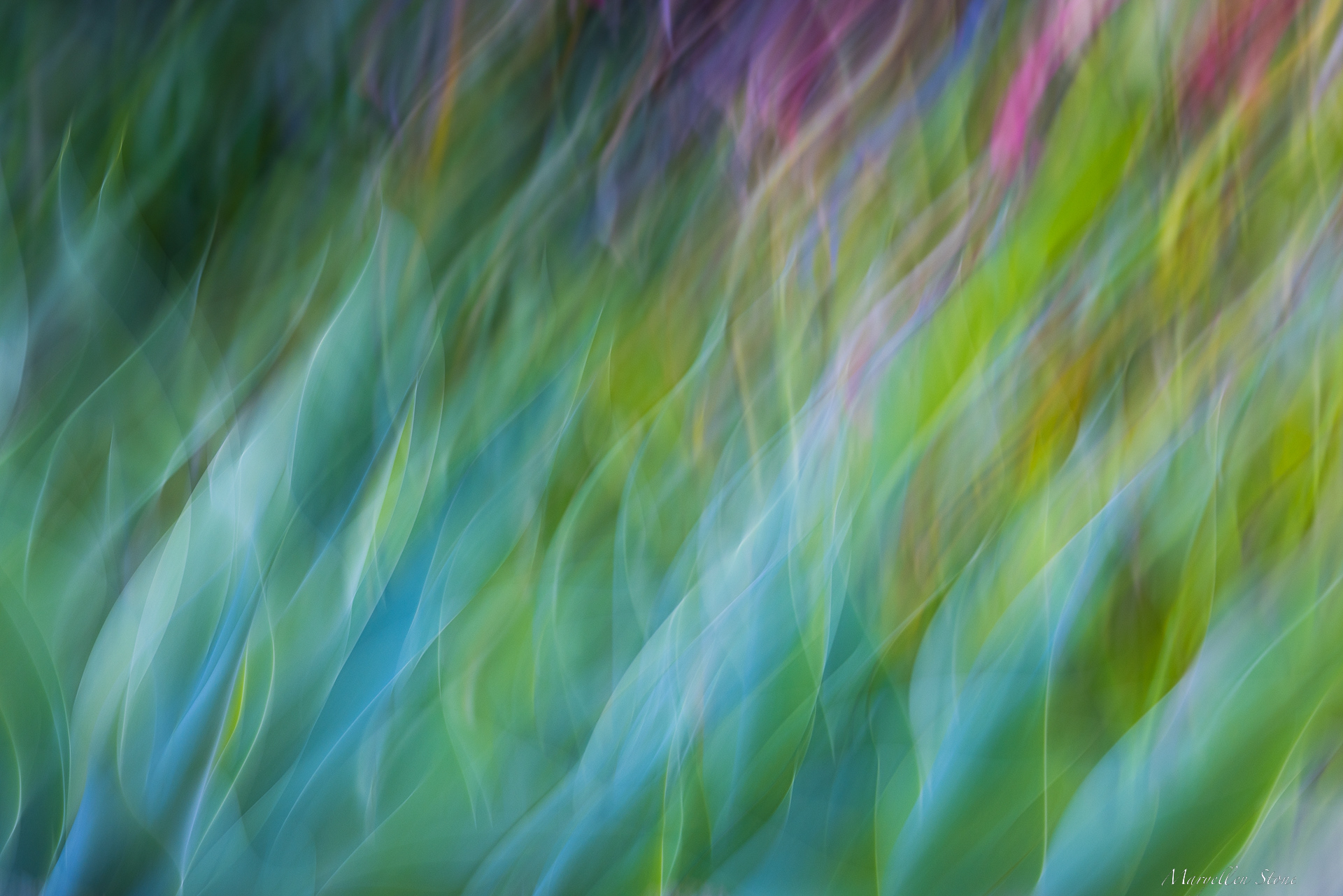 Leaves Abstract ~ Batsú