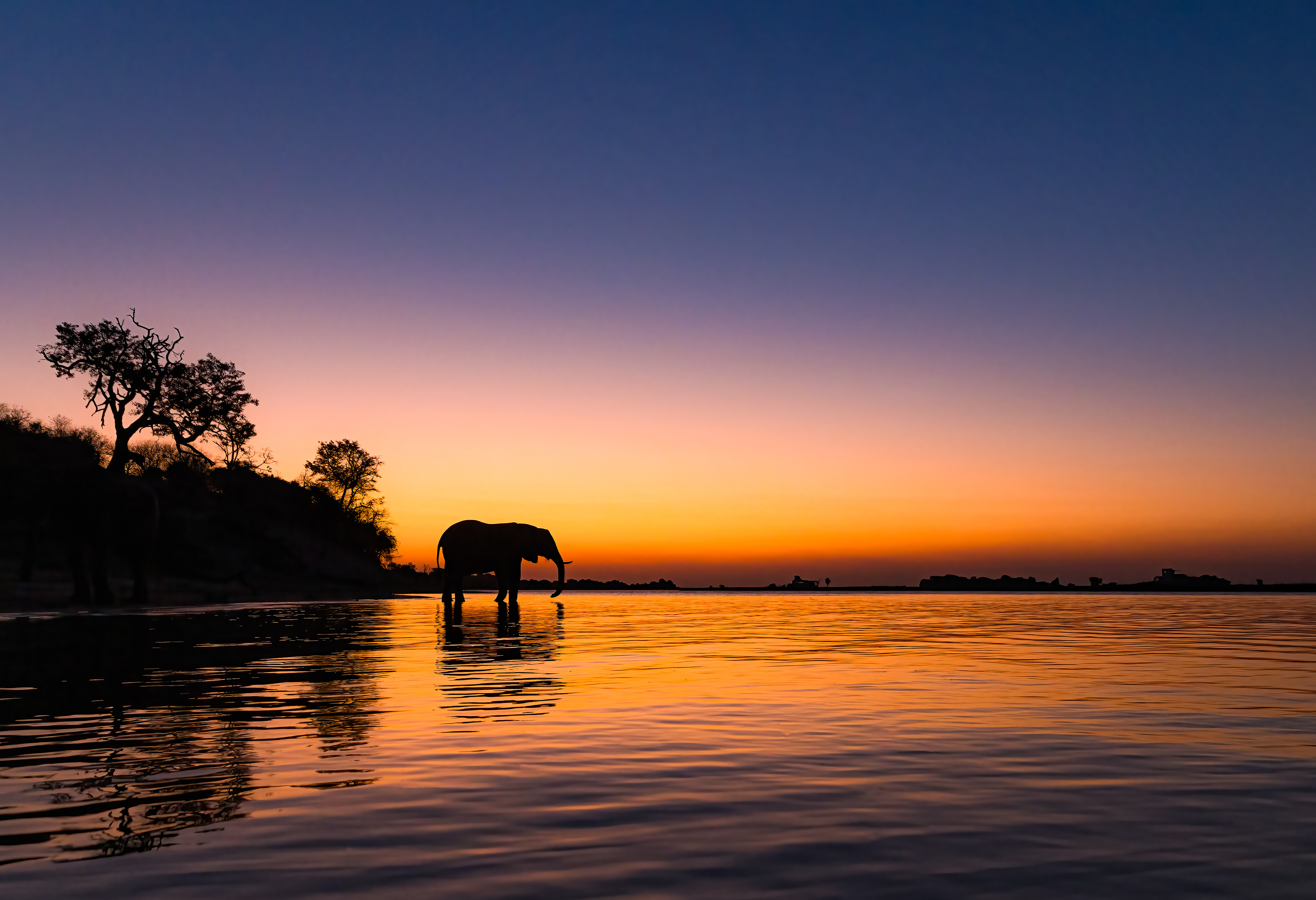 Night Falls on the Chobe River