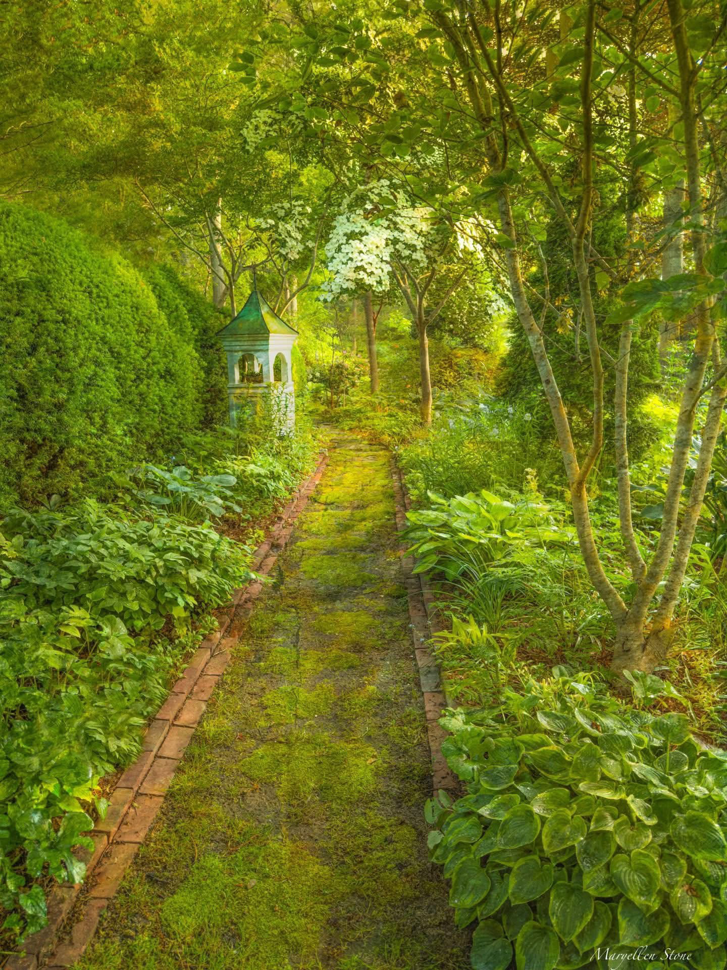 Lush Serenity