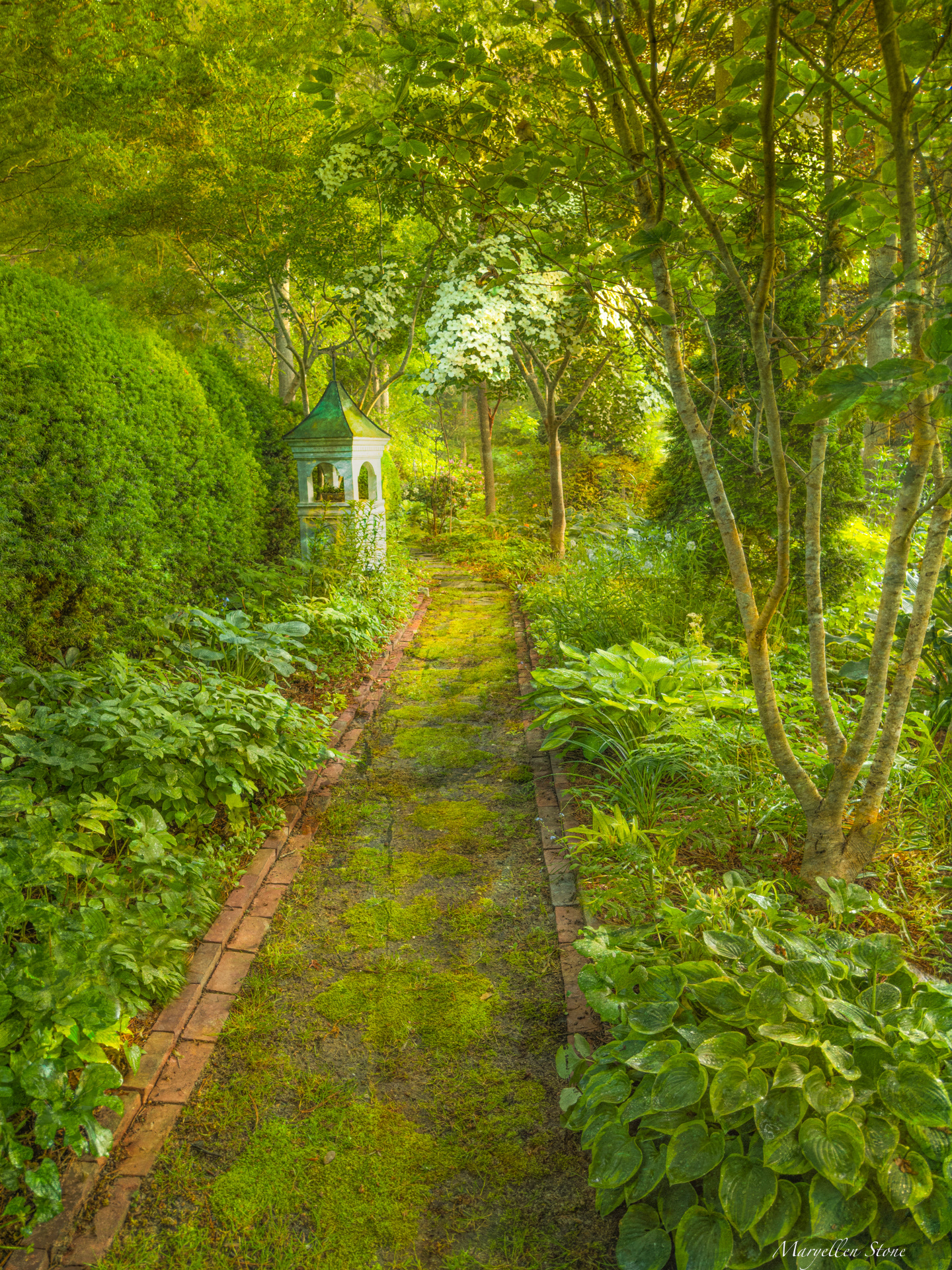 "Lush Serenity" from my Spring Gardens of Cape Cod photography workshop.