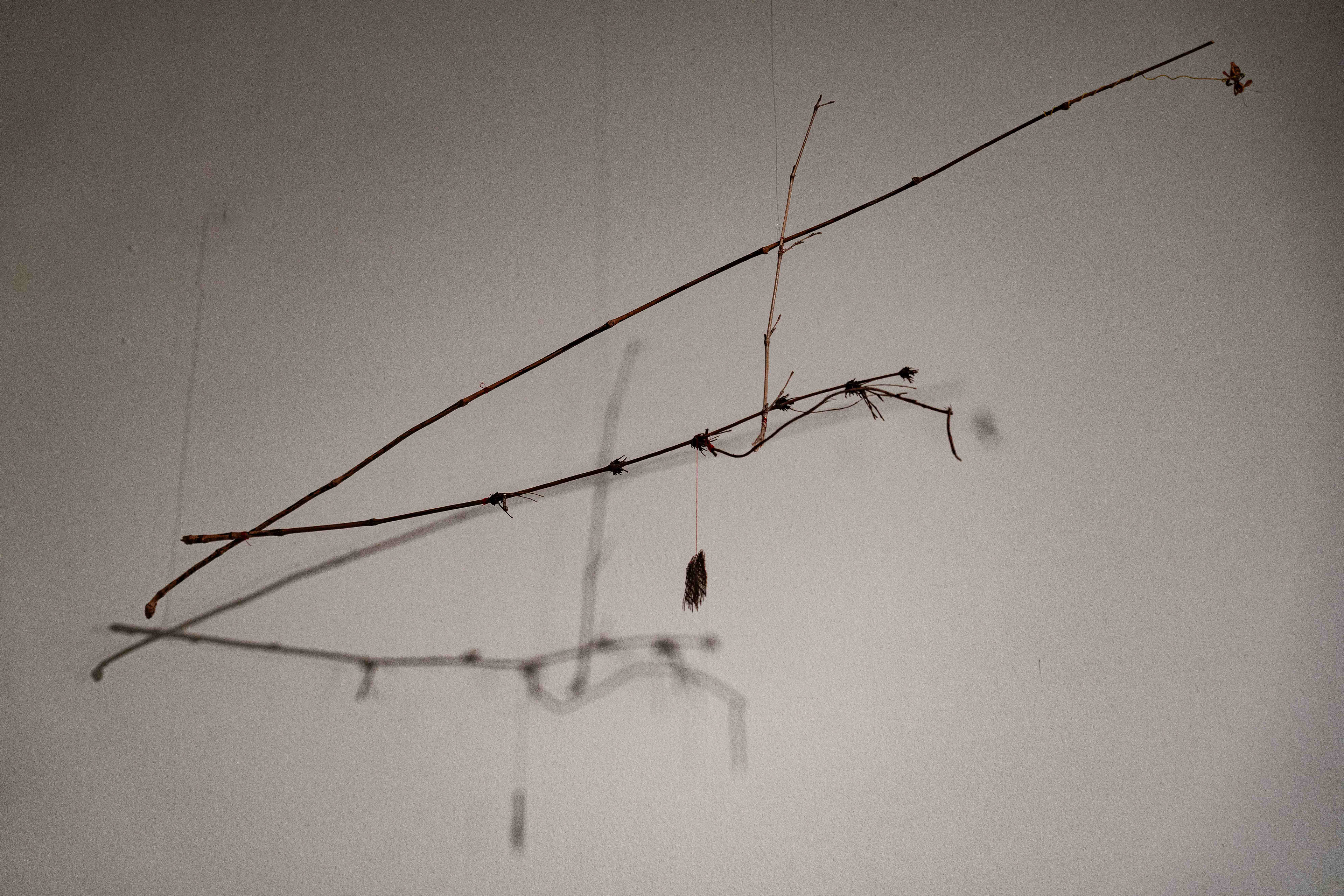 Cecilia VicuƱa - 1. Zonder titel, 2018 - takken, draad en garen