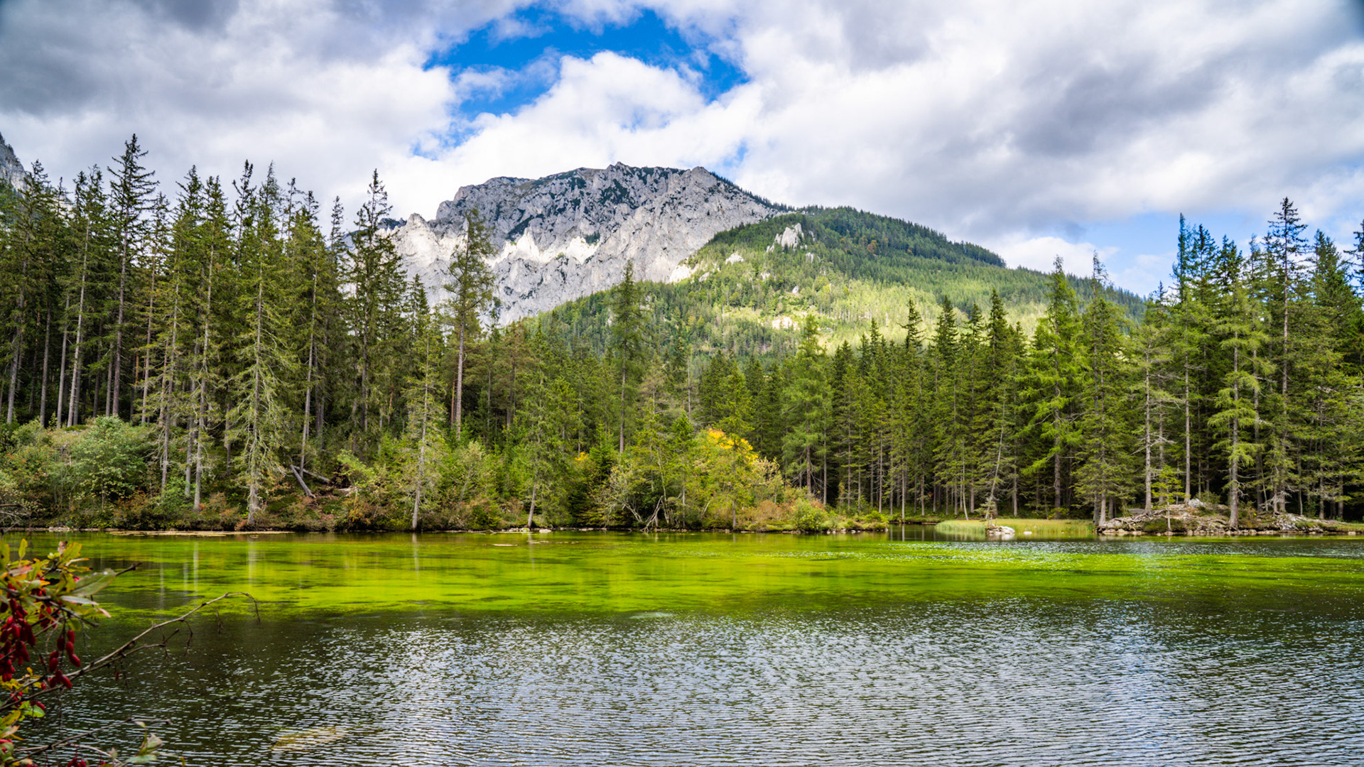 Grüner See in Austria