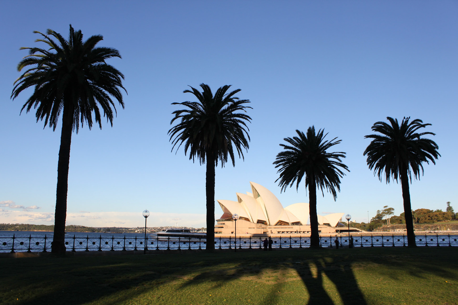 Sydney Opera house and waterfront during sunset.