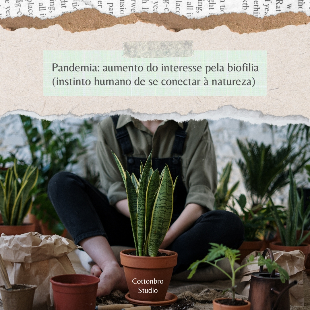 Tendência "Casa biofílica" - Parte 3