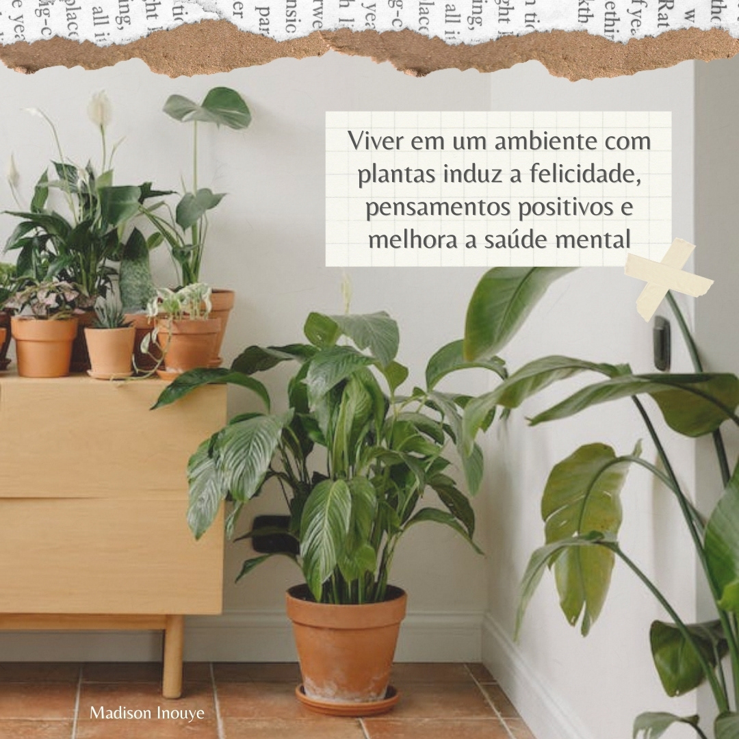 Tendência "Casa biofílica" - Parte 2