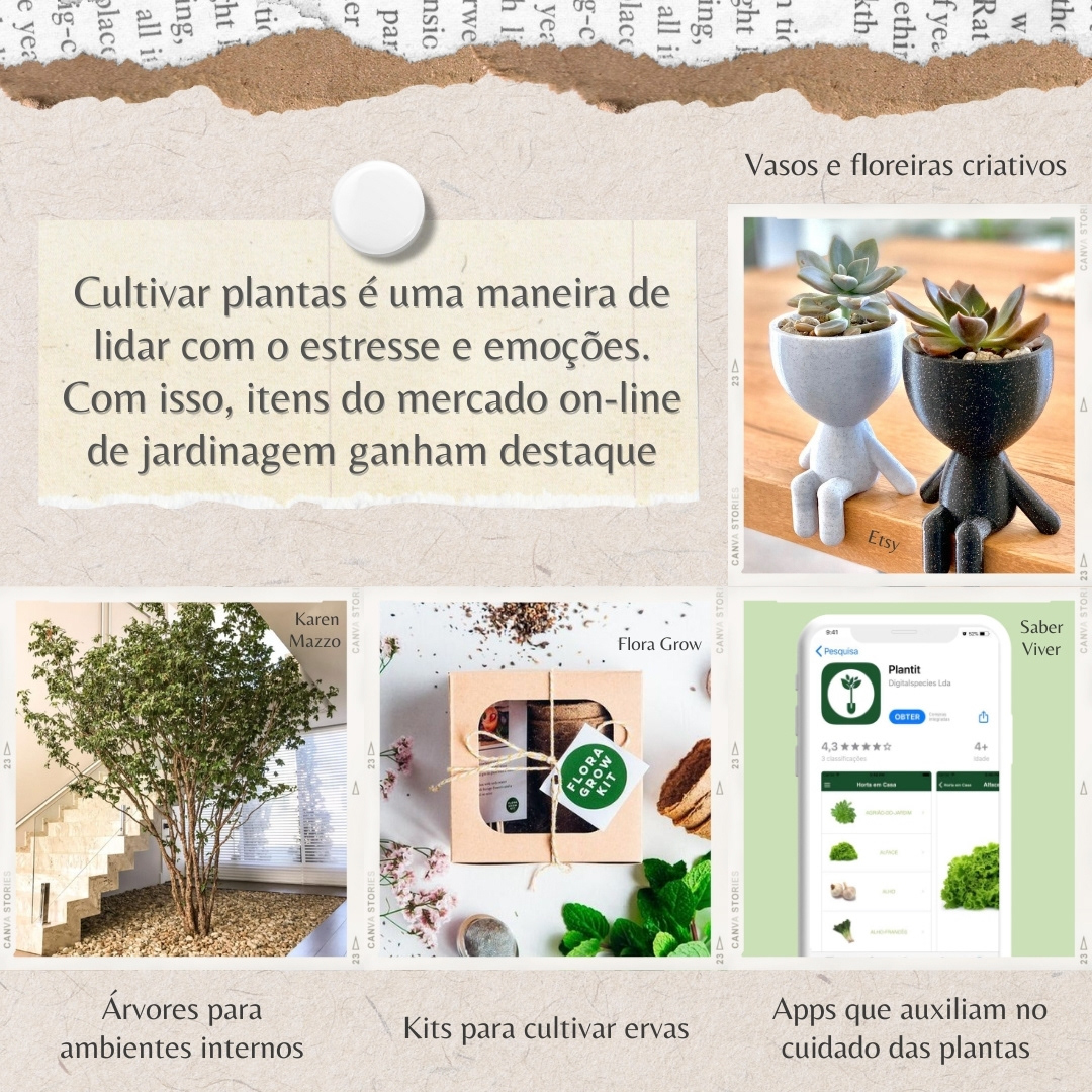 Tendência "Casa biofílica" - Parte 4