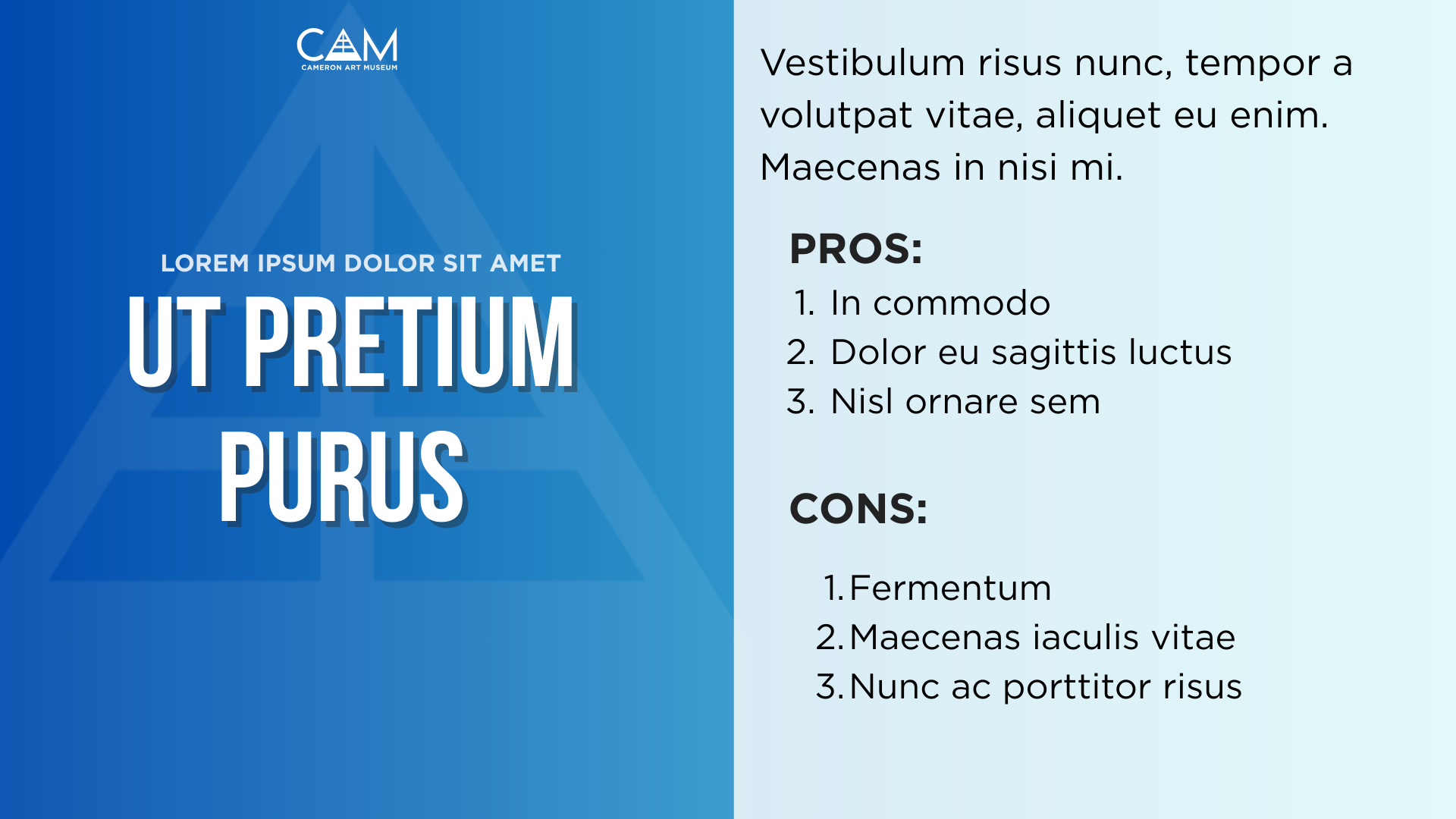 Internal presentation 3