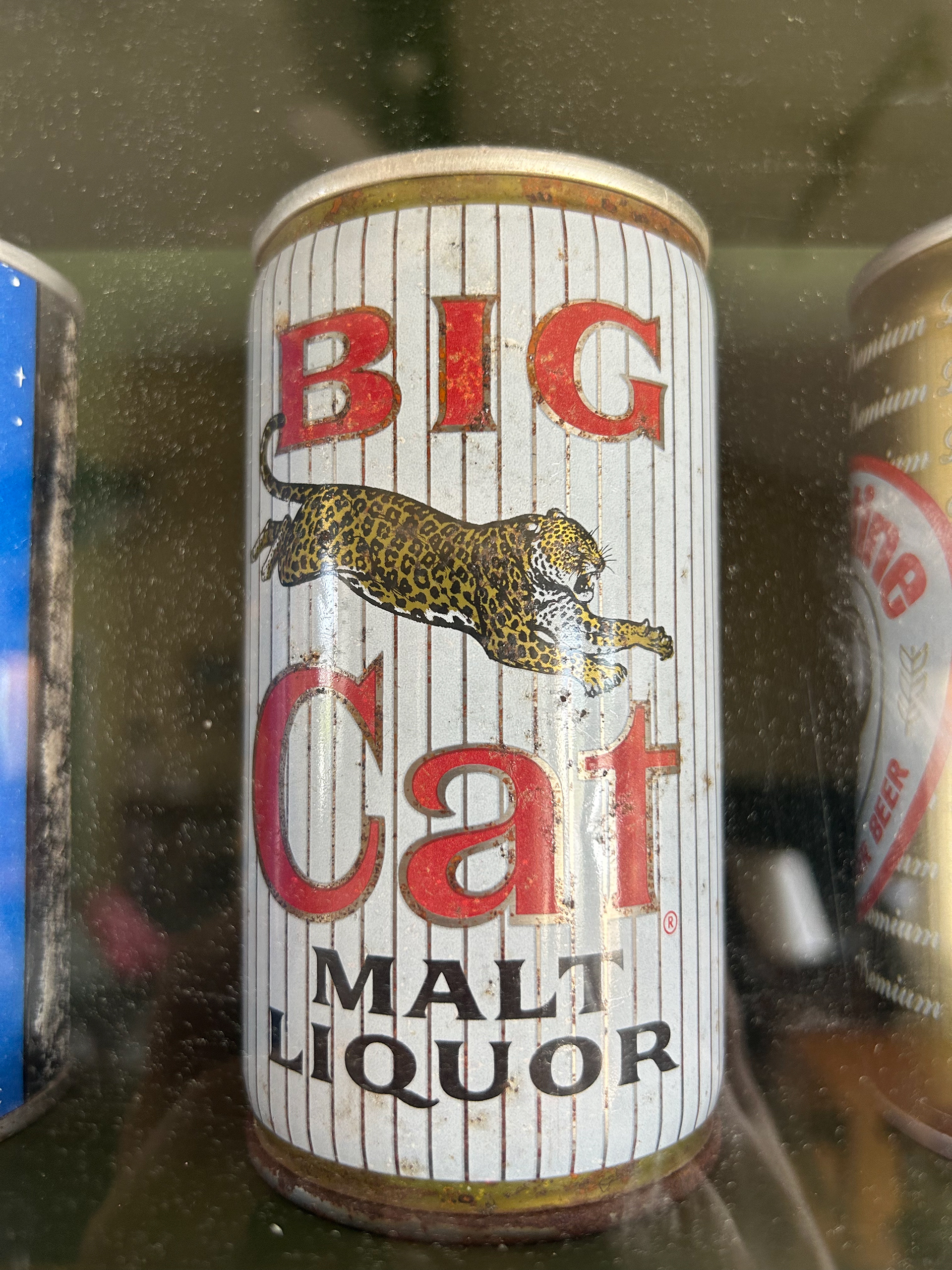 STEP 1: Photographing the can