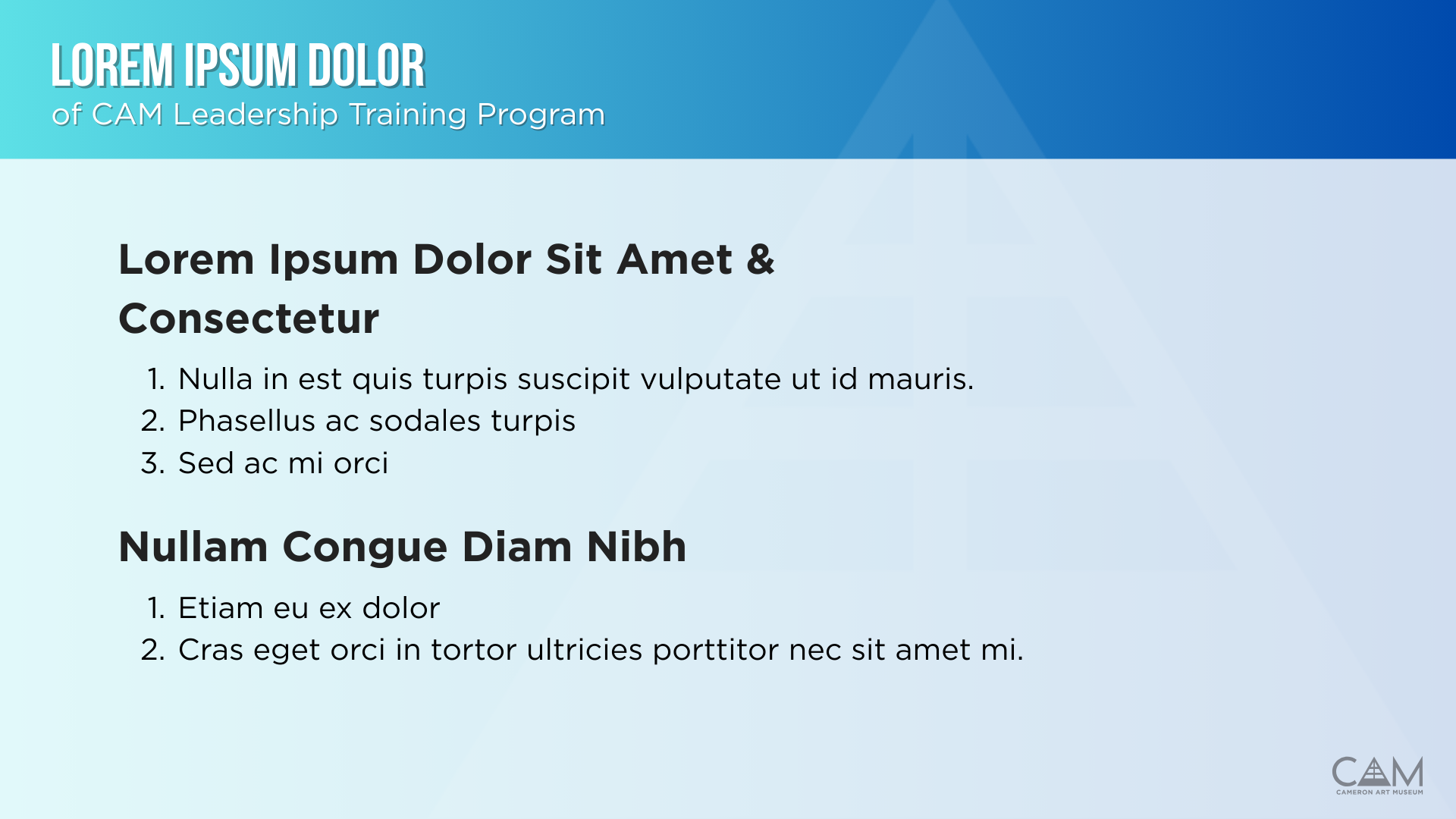 Internal Presentation 2