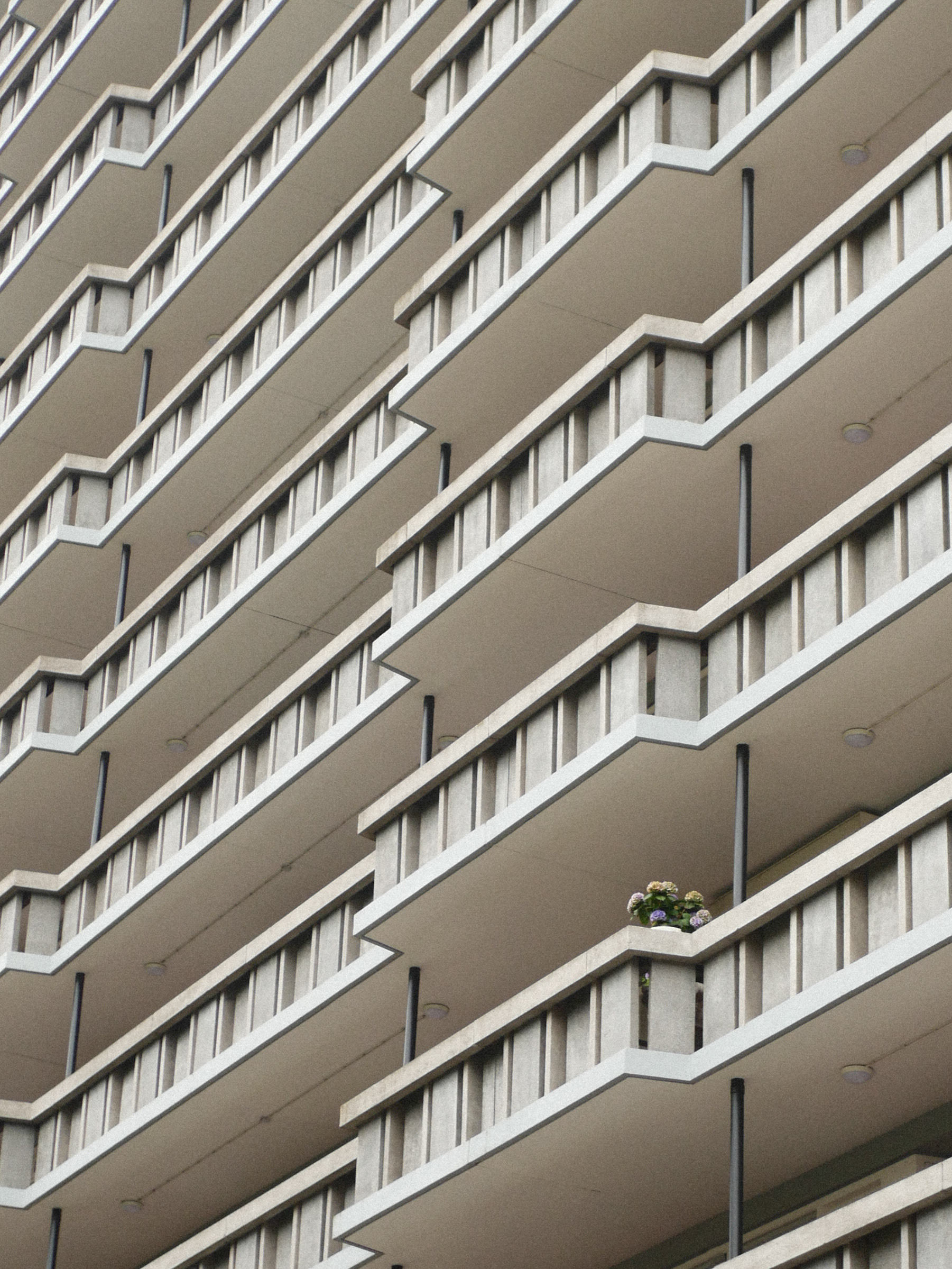 Finding beauty in monotonous, ugly architecture