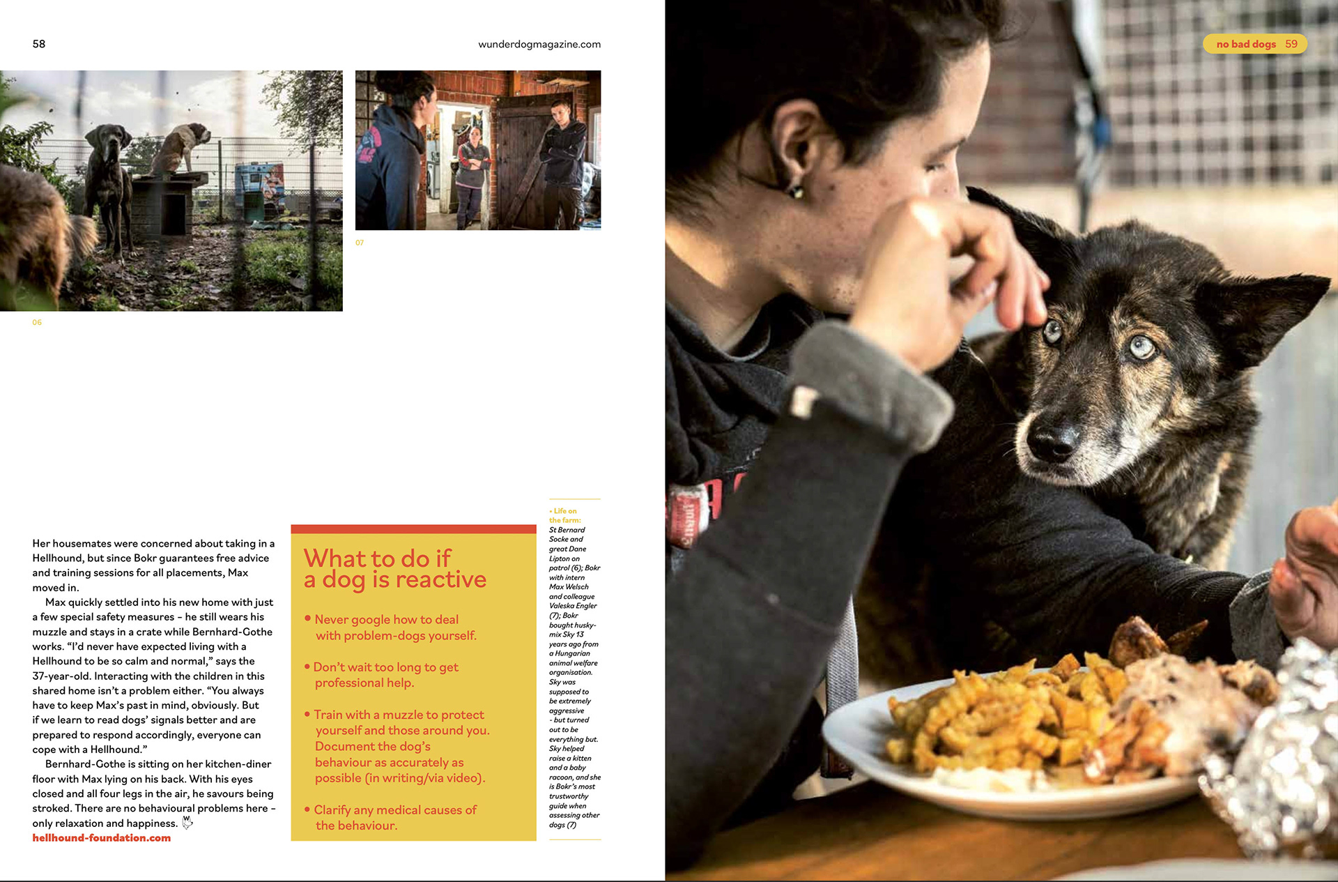 Wunderdog 06/2022