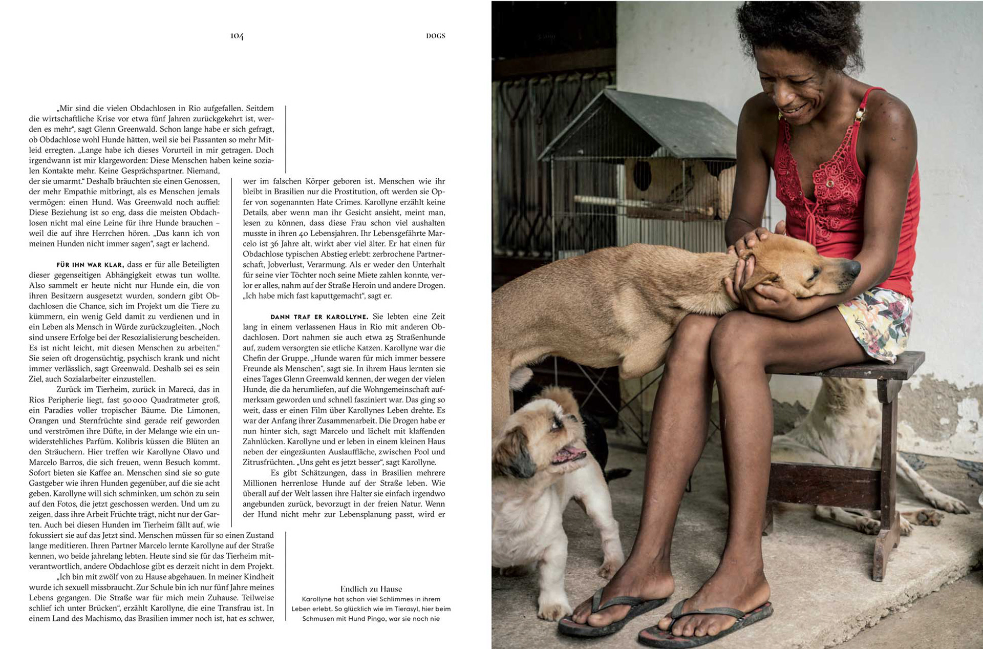 Dogs 03/2019