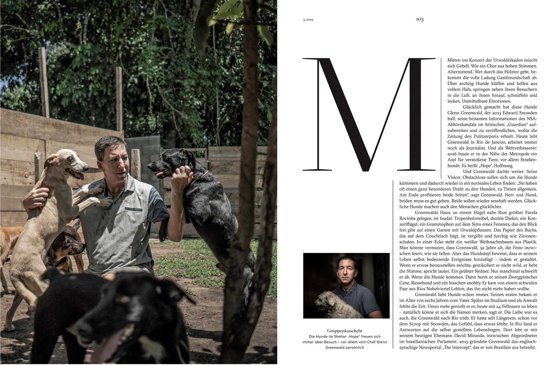 Dogs 03/2019
