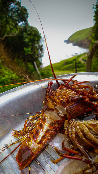 Old Transkei Food Photo