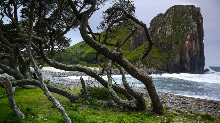 Old Transkei Landscape Photo