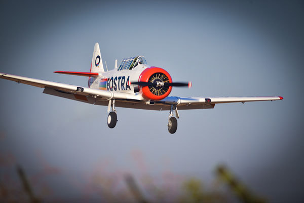 Flying Fun at Rand Airshow