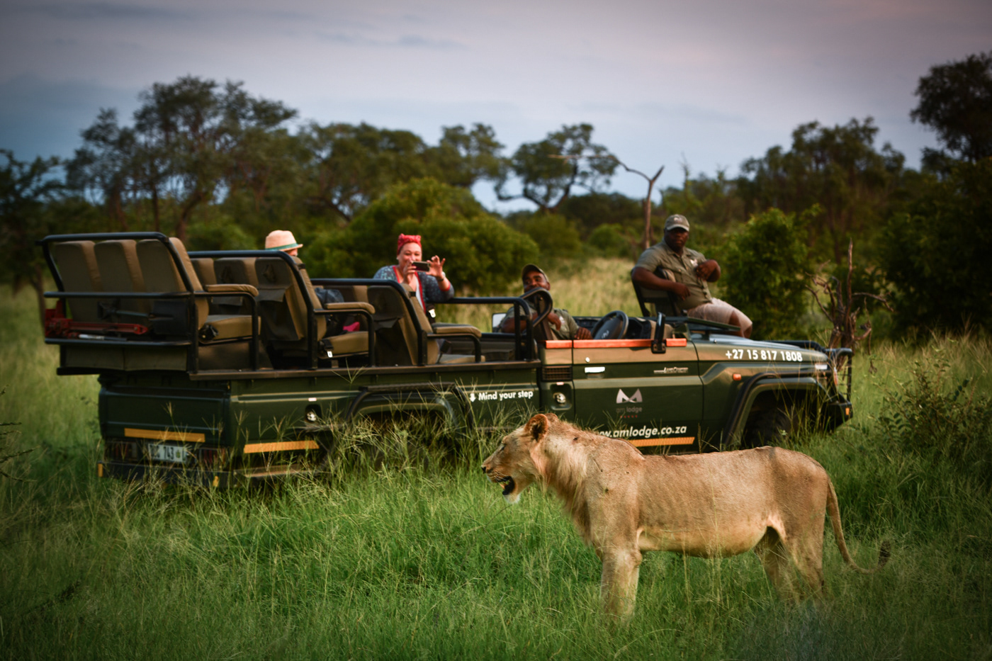 AM Lodge, Hoedspruit, South Africa