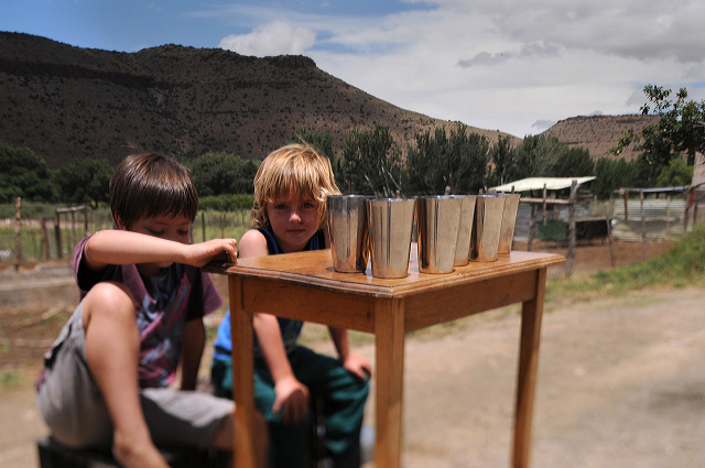 Exploring the Garden Route Cape Town