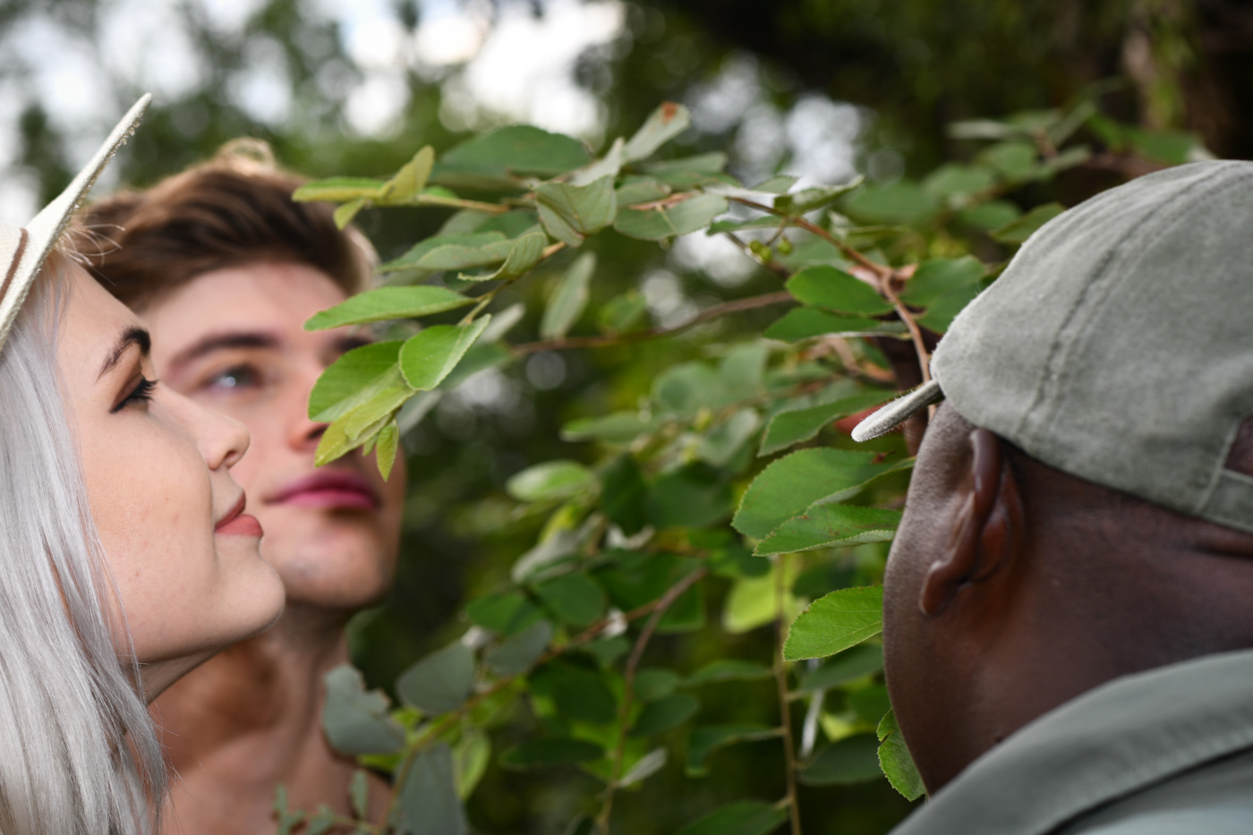 safari photos A.M 5 star lodge