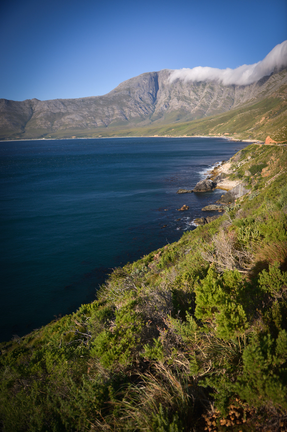 Waenhuiskrans images | Ignus Gerber